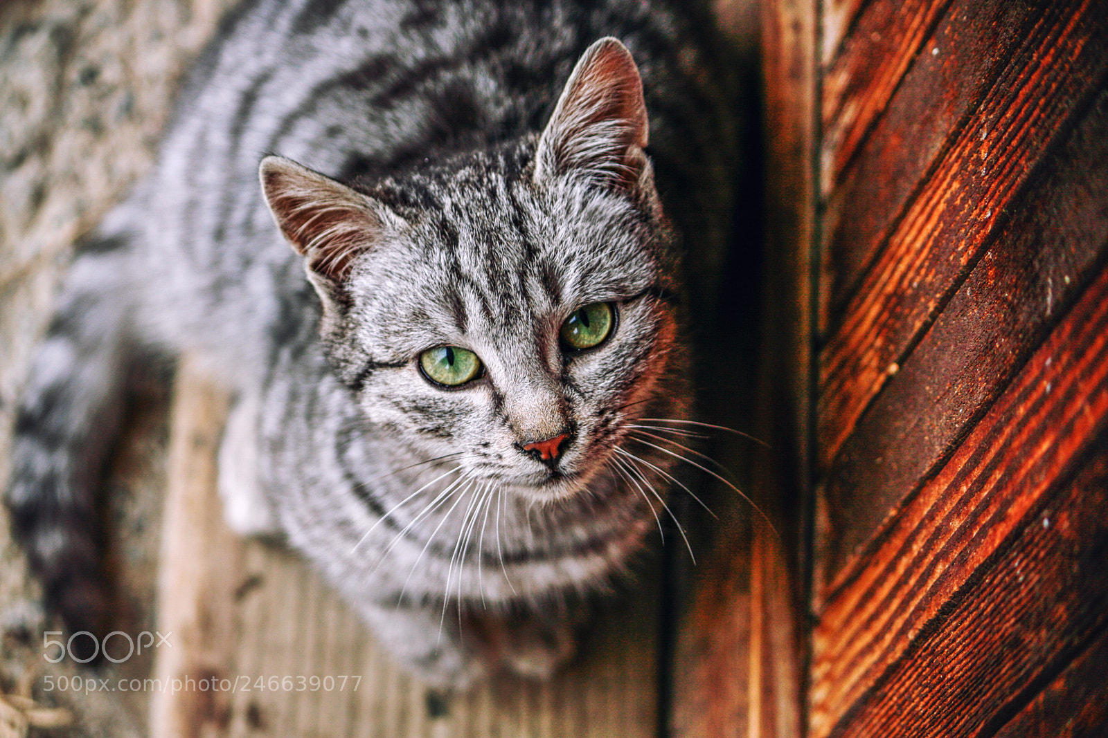 Canon EOS 350D (EOS Digital Rebel XT / EOS Kiss Digital N) sample photo. ... photography