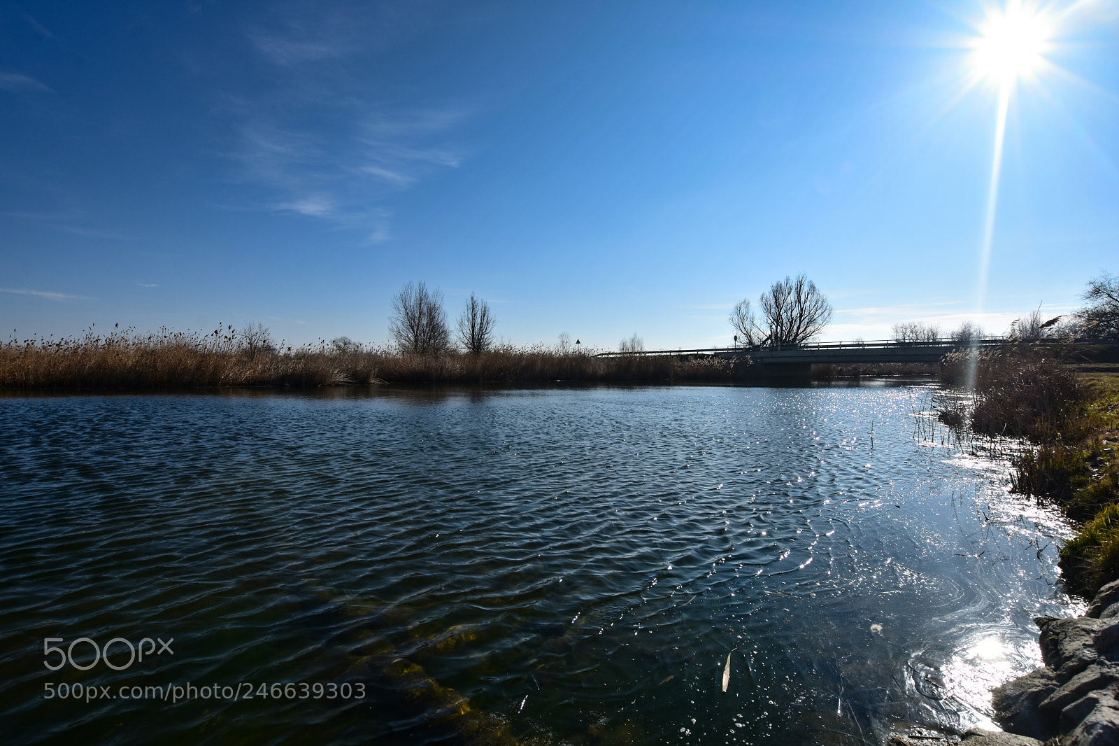Nikon D7200 sample photo. Untitled photography