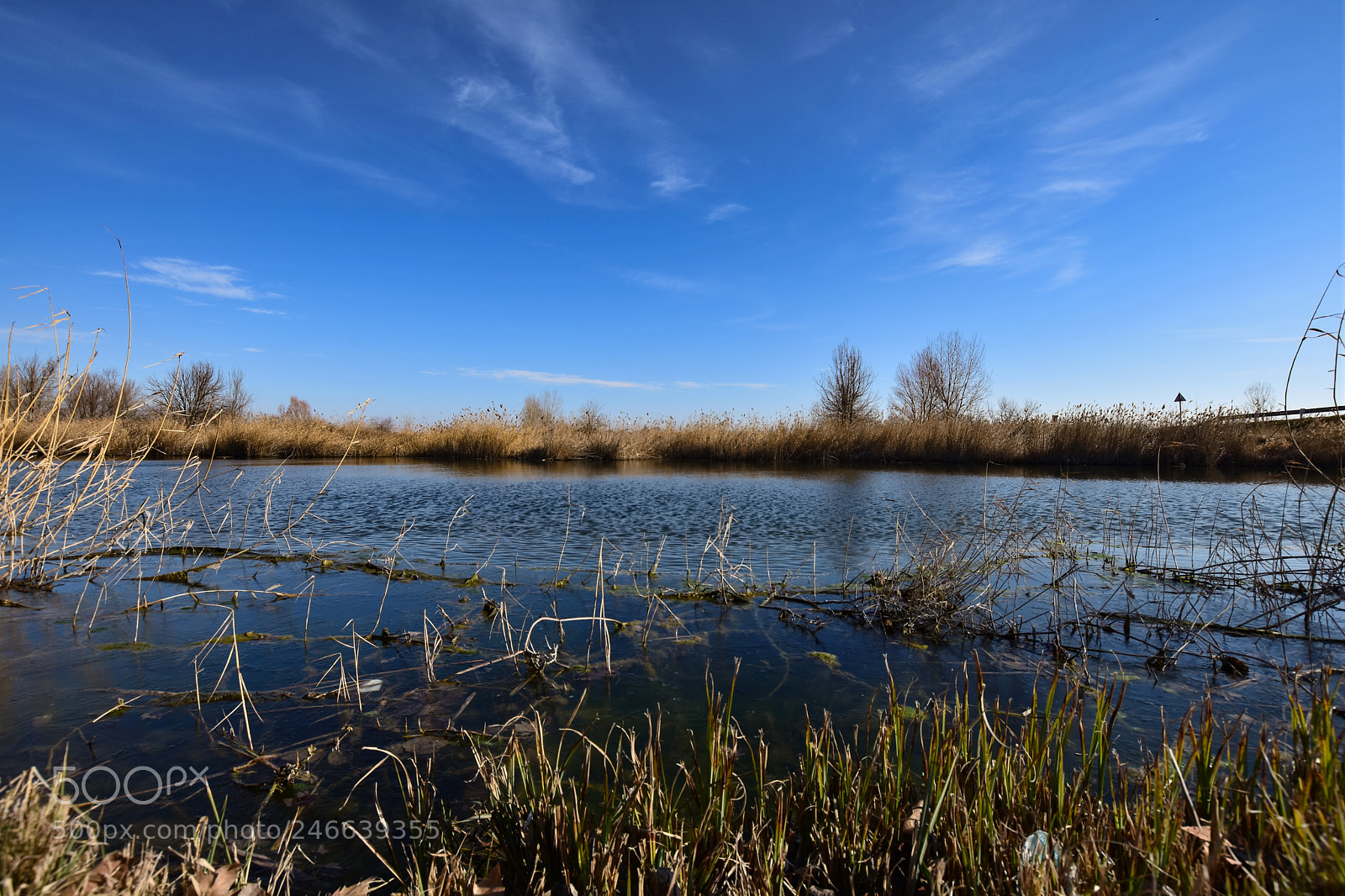 Nikon D7200 sample photo. Untitled photography