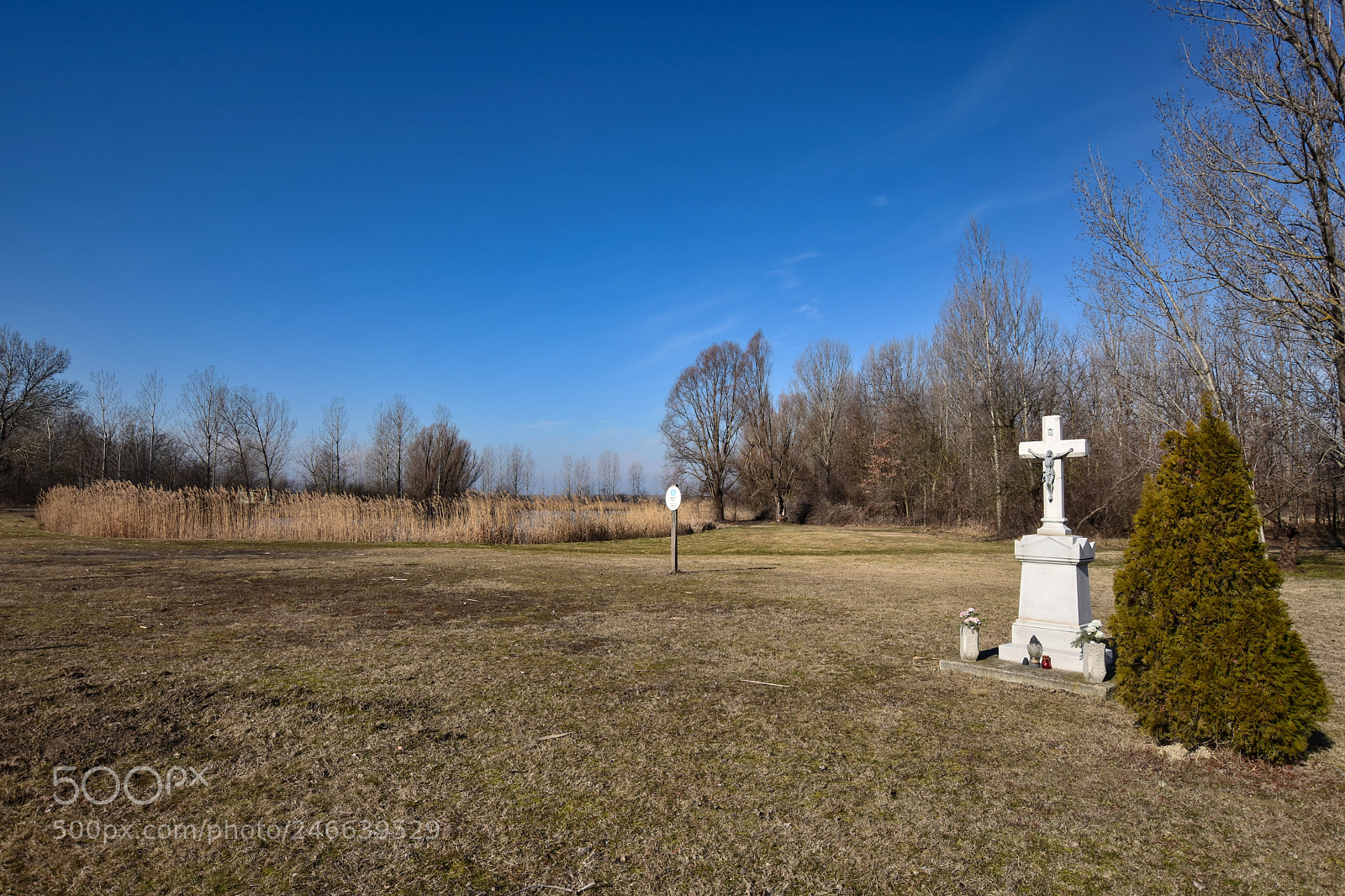 Nikon D7200 sample photo. Untitled photography