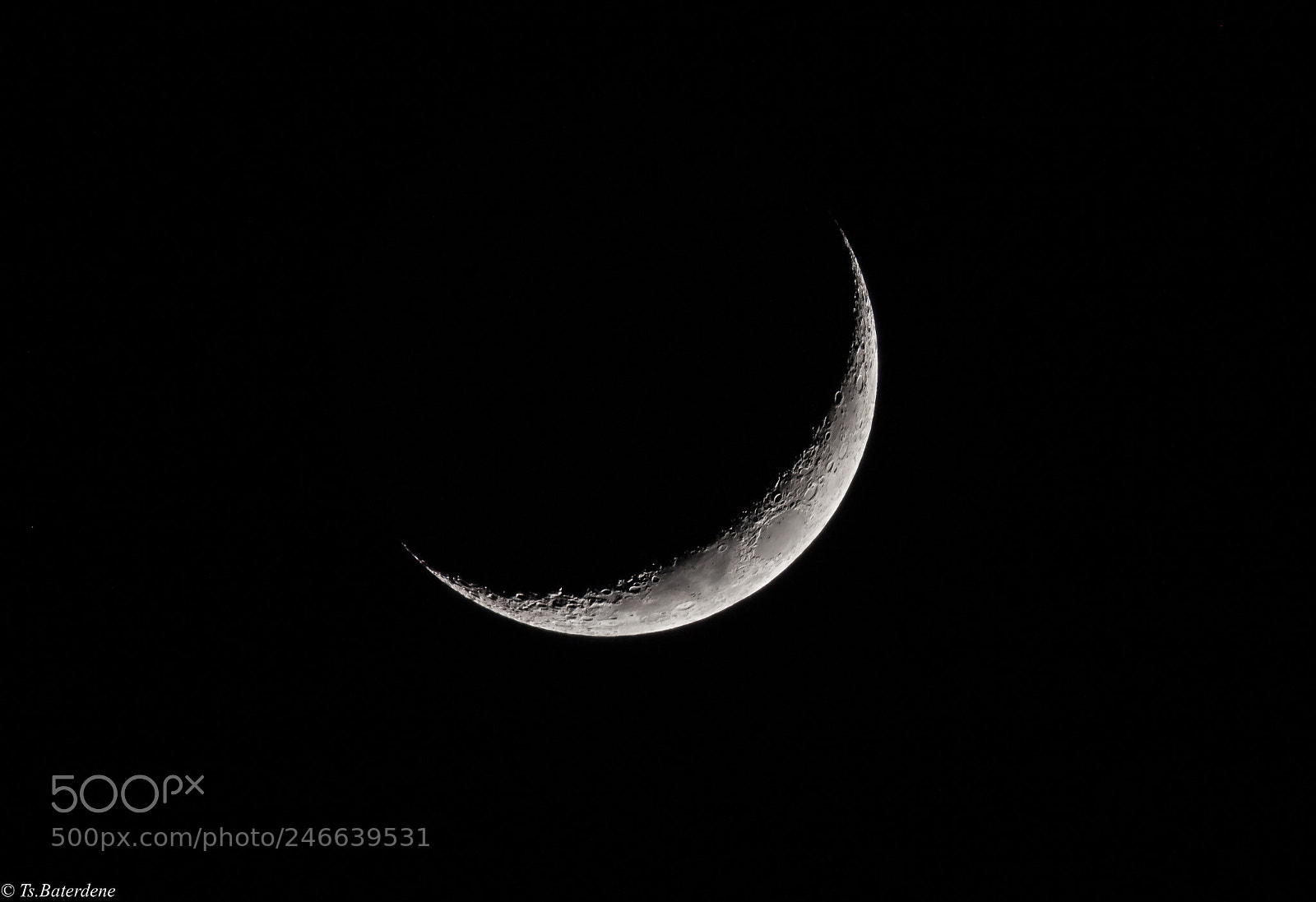 Nikon D810 sample photo. Today’s moon. photography