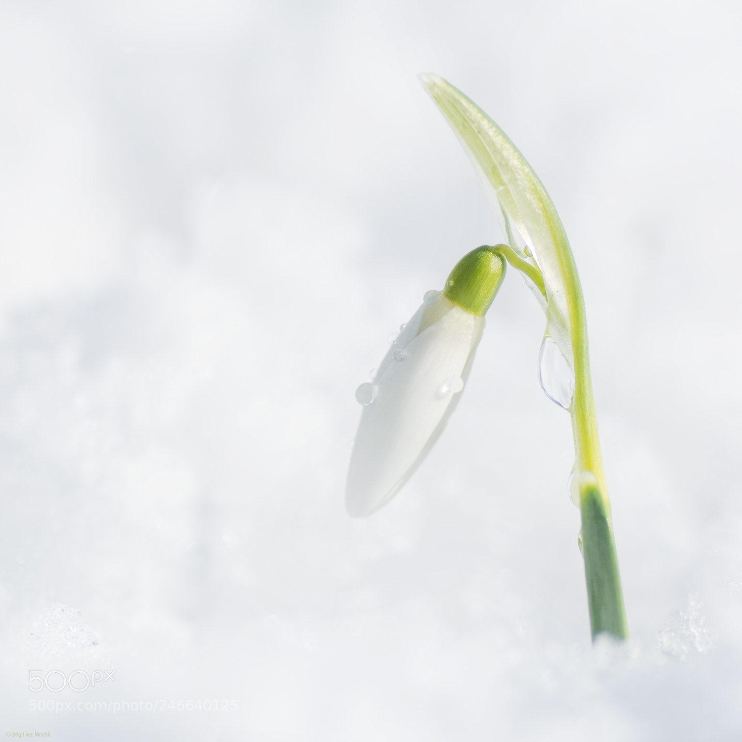 Nikon D7100 sample photo. Cold photography