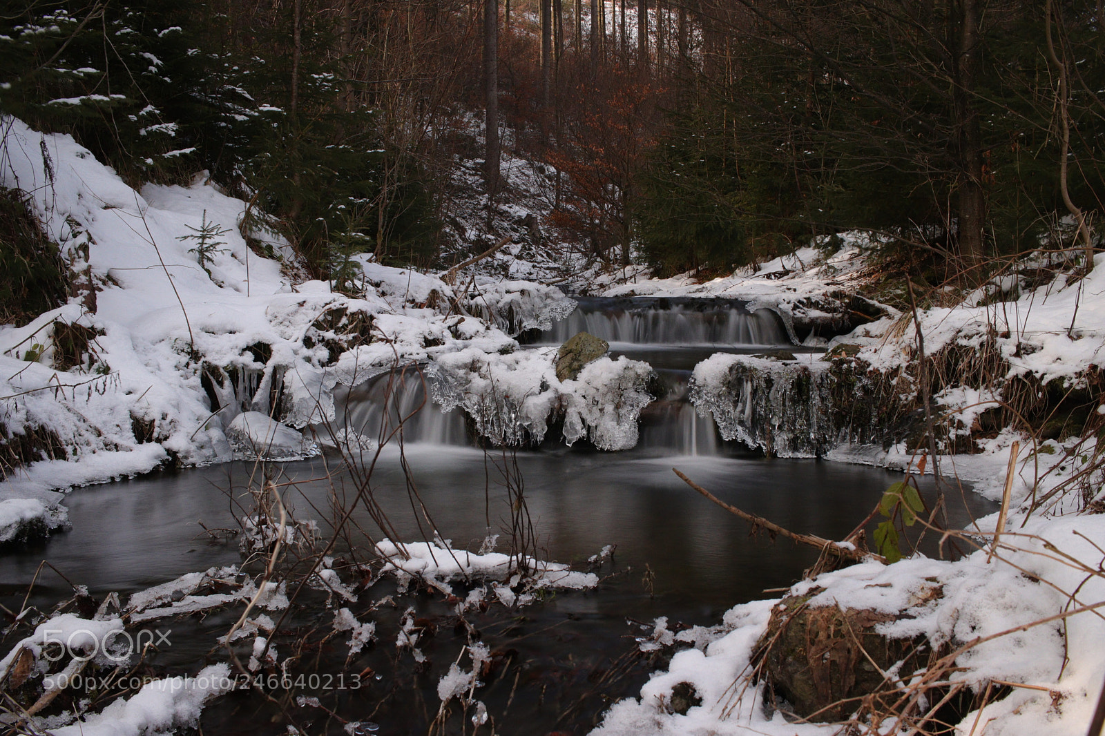 Canon EOS 77D (EOS 9000D / EOS 770D) sample photo. Untitled photography