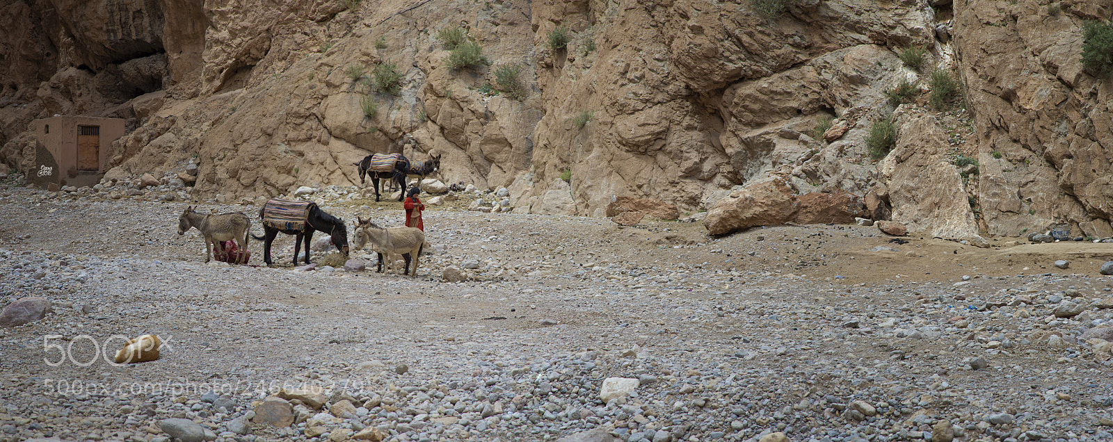Nikon D610 sample photo. "humildad" photography