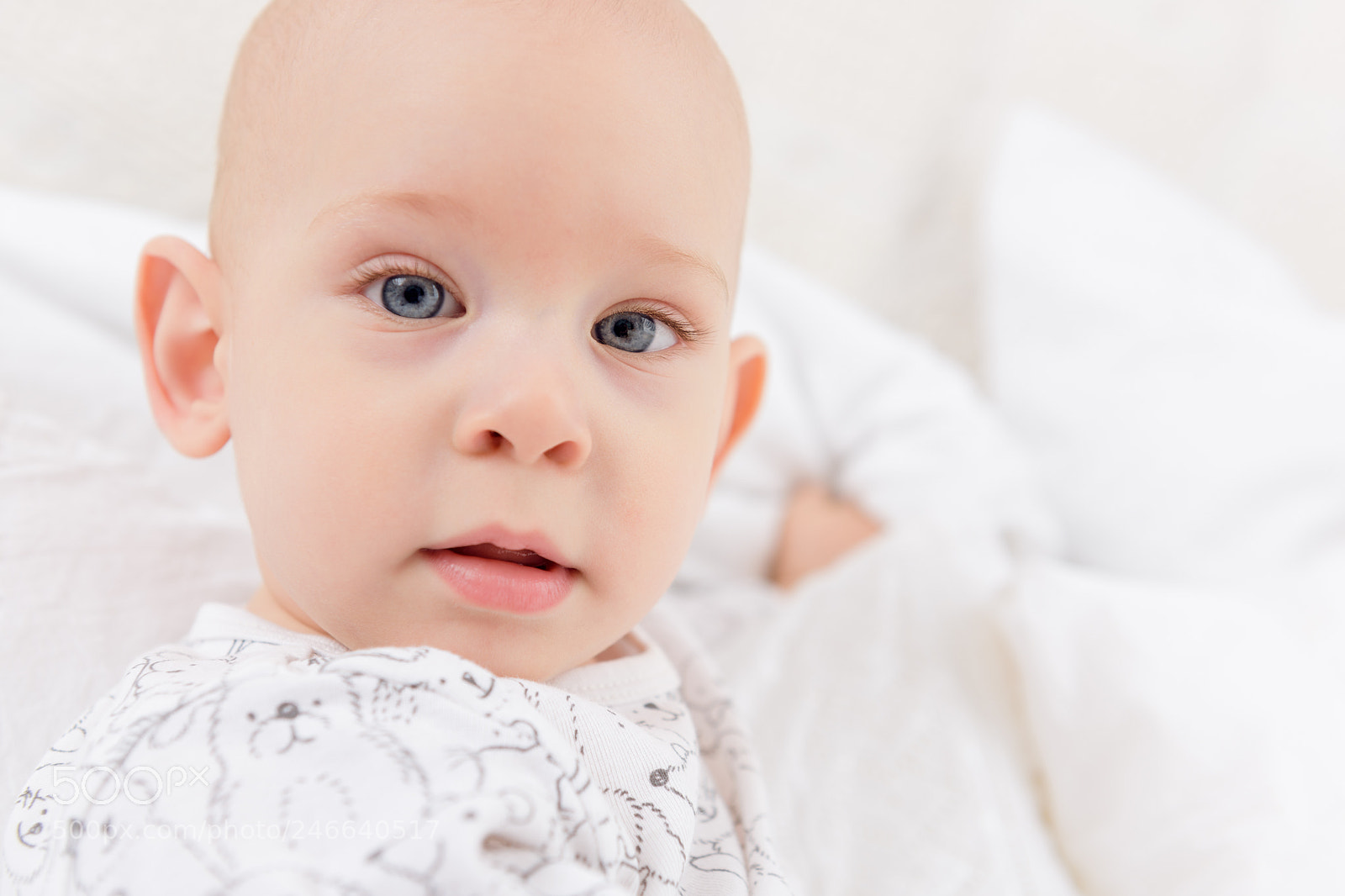 Nikon D810 sample photo. Adorable baby boy with photography