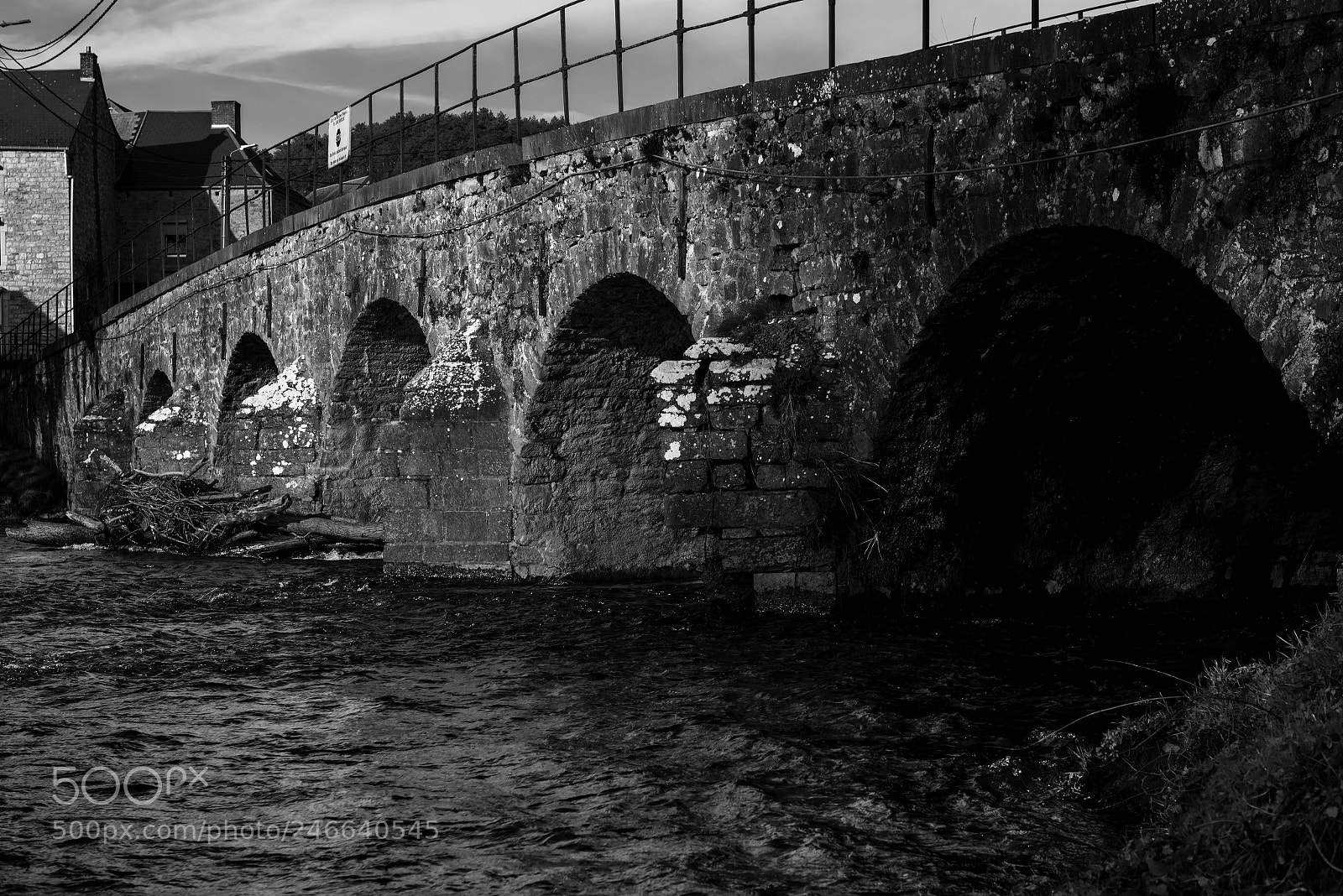 Nikon D800E sample photo. Le pont se de photography