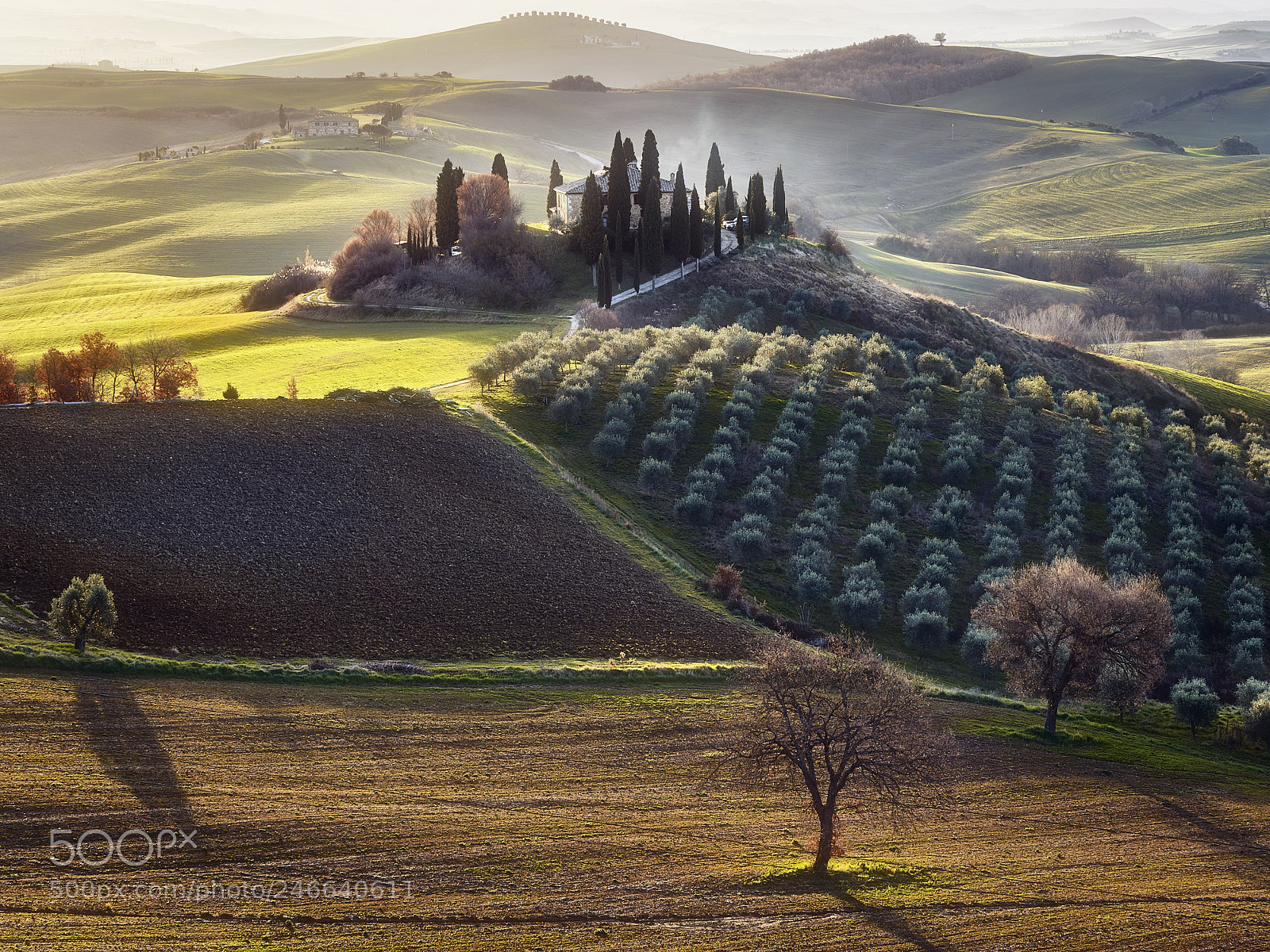 Olympus OM-D E-M1 Mark II sample photo. Val d'orcia italy photography
