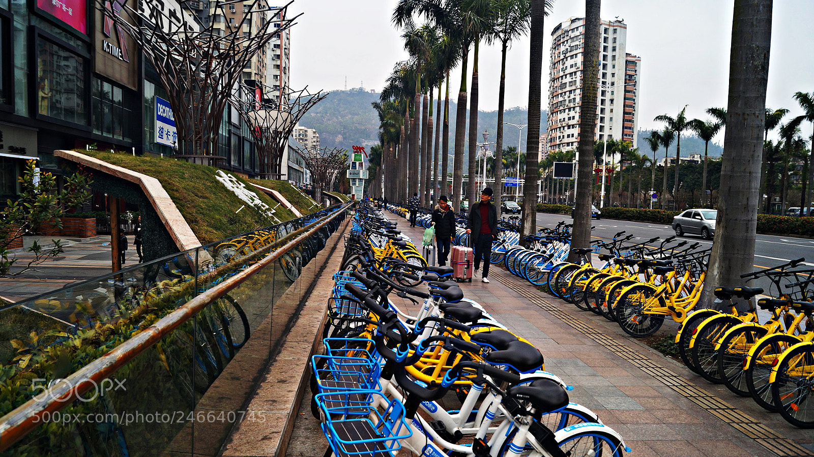 Sony SLT-A57 sample photo. Bicicletas china photography