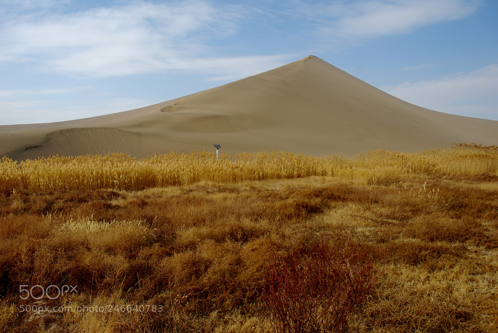 Nikon D80 sample photo. 敦煌鸣沙山 photography