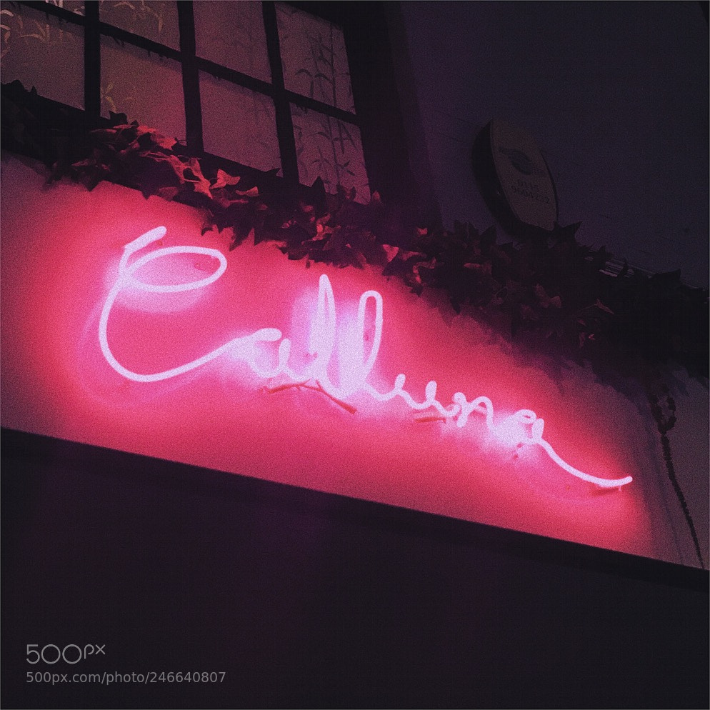 Apple iPhone 6s sample photo. Neon series ——pink photography