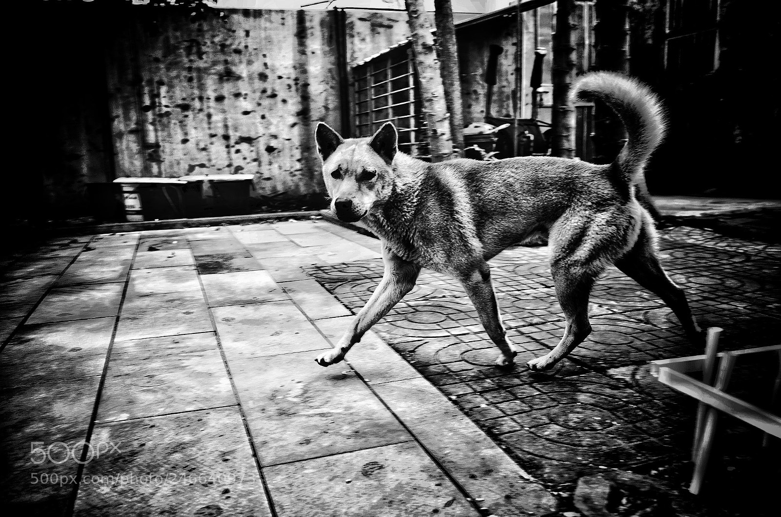 Ricoh GR II sample photo. Untitled photography
