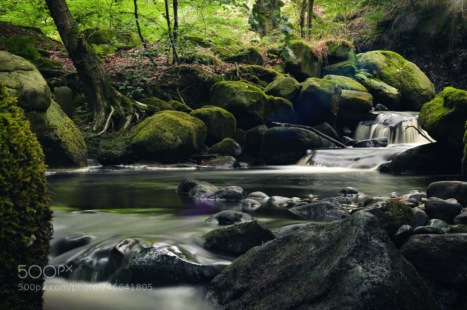 Nikon D3200 sample photo. Mossy rocks and water photography