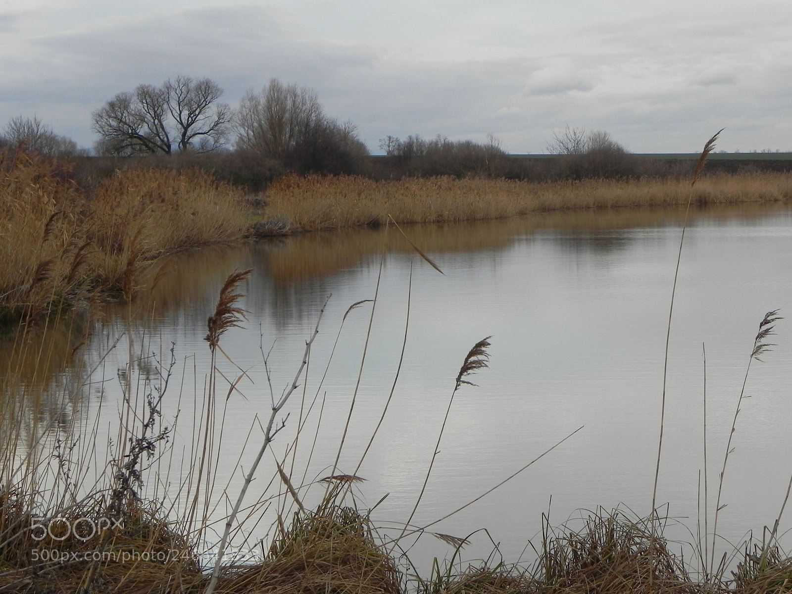 Nikon Coolpix P100 sample photo. View over the lake photography