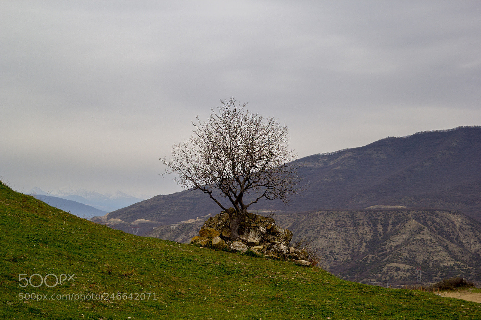 Canon EOS 60D sample photo. In the mountains of photography