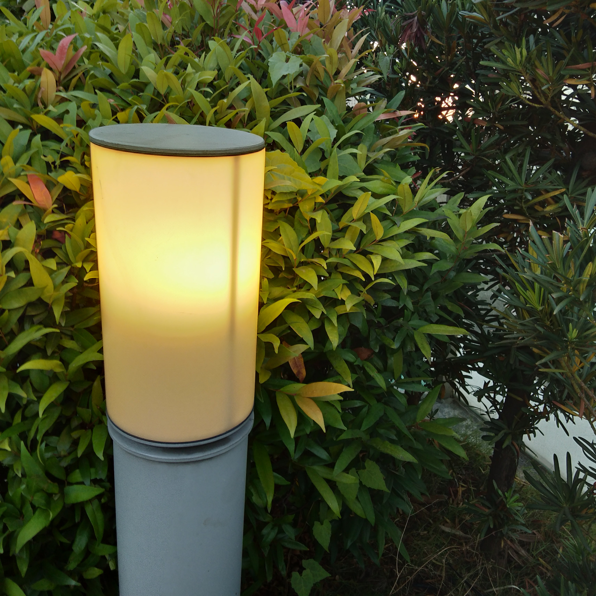 vivo 1716 sample photo. Lamp photography