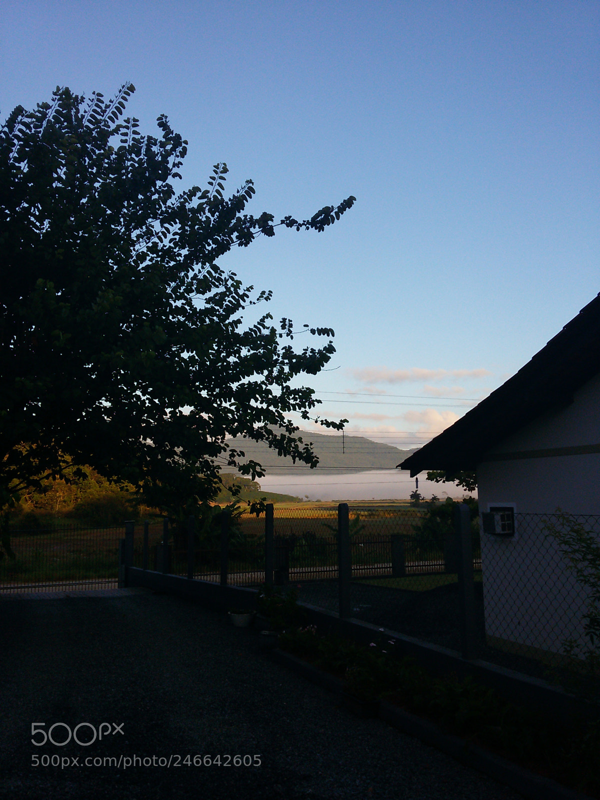 Samsung Galaxy S5 Mini sample photo. Untitled photography