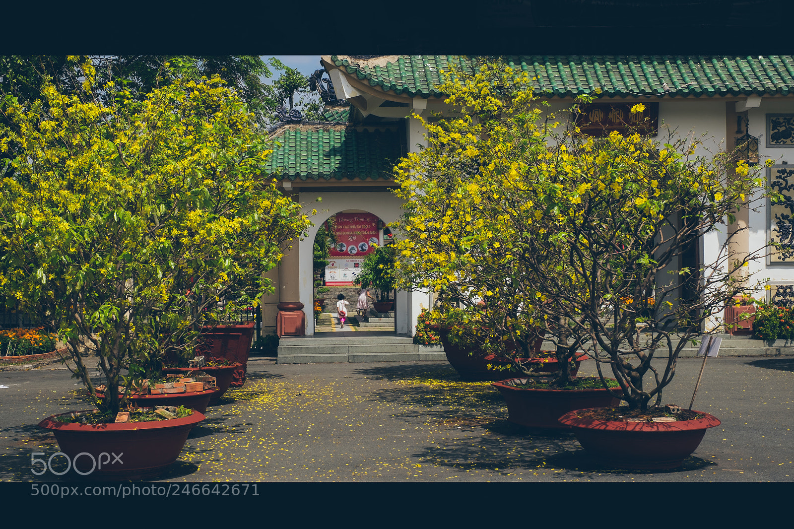Fujifilm X-T1 sample photo. Running from tet photography