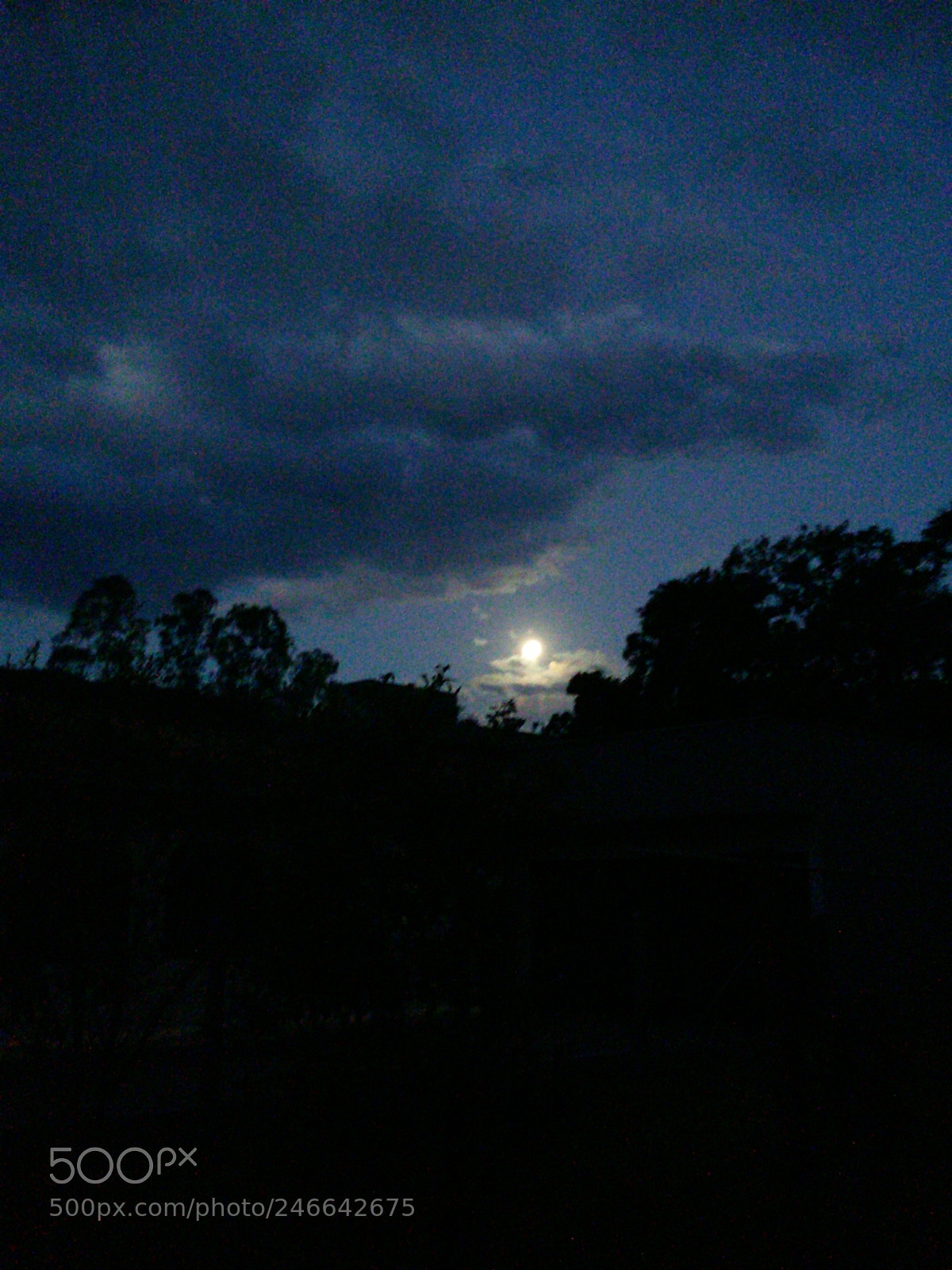 Samsung Galaxy S5 Mini sample photo. Untitled photography