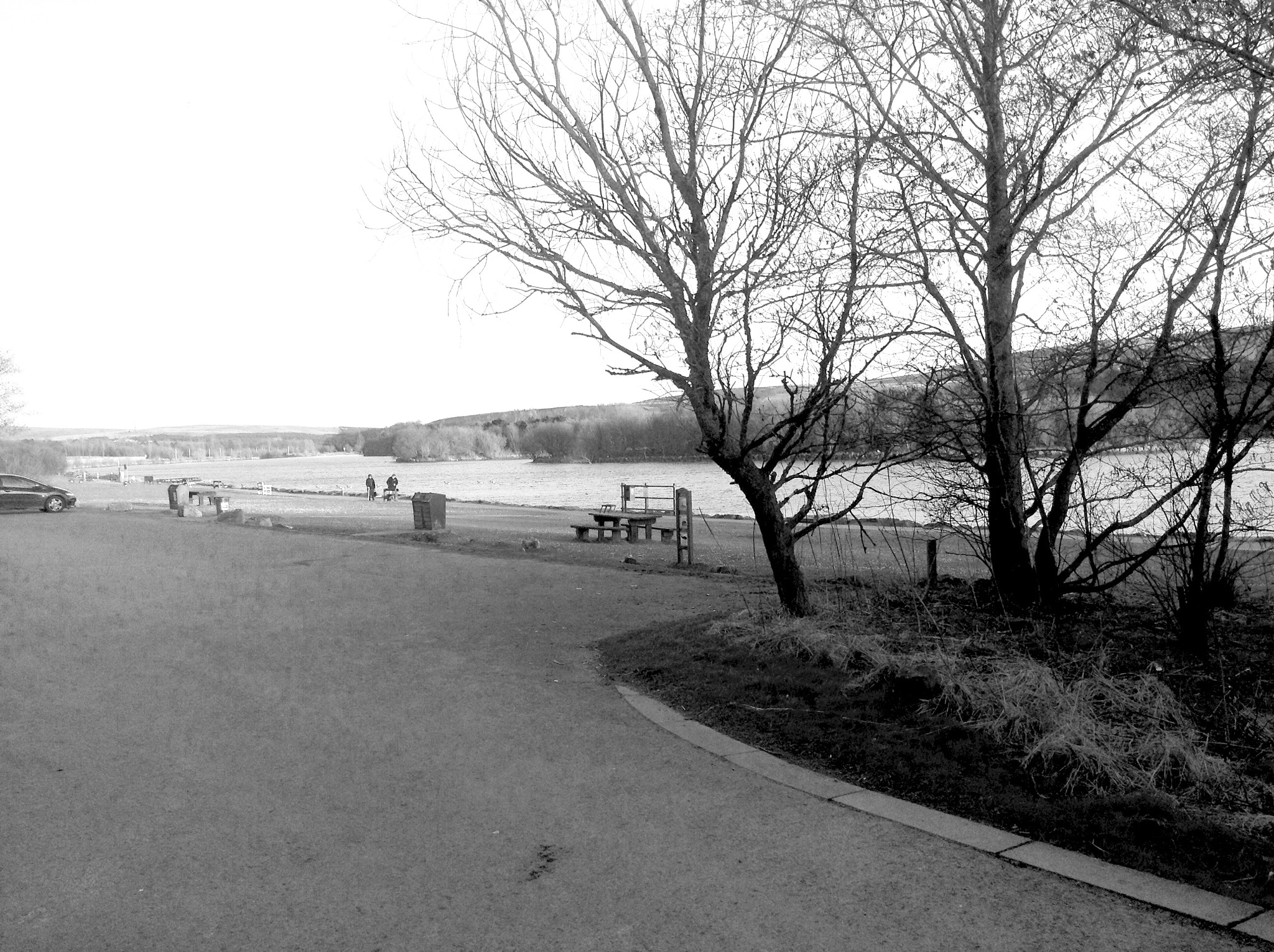 Apple iPad mini sample photo. Bryn bach park photography