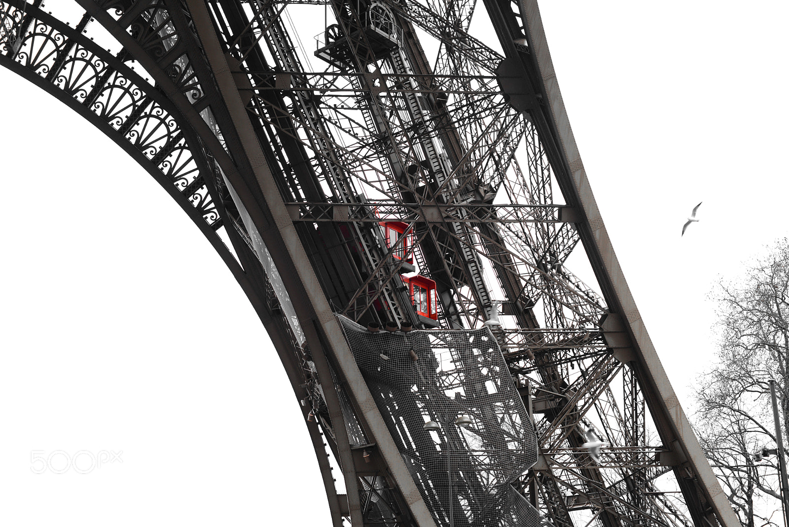 Nikon D800 sample photo. Red cars in eiffel photography