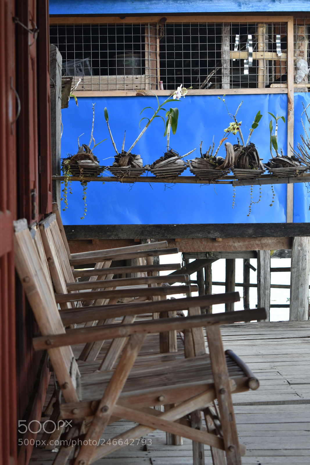 Nikon D3400 sample photo. Relaxing chairs in inle photography