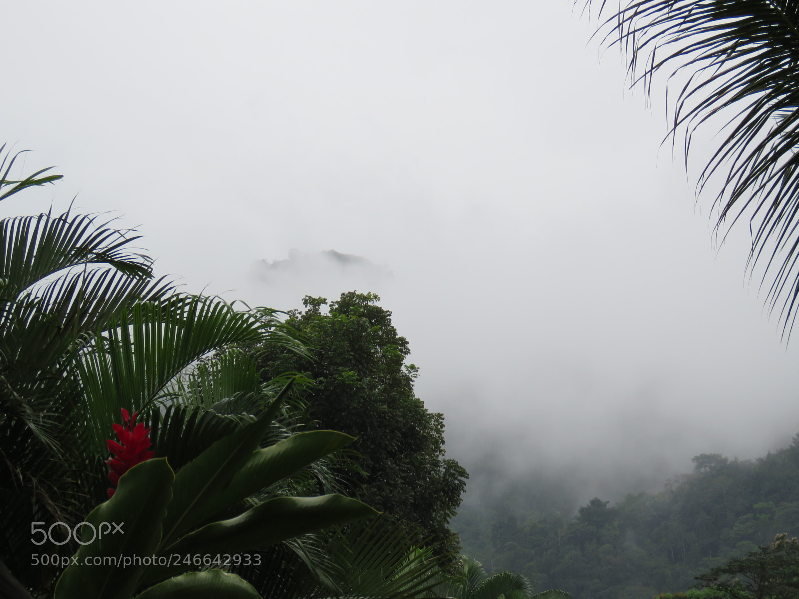 Canon PowerShot SX60 HS sample photo. Misty mountain photography