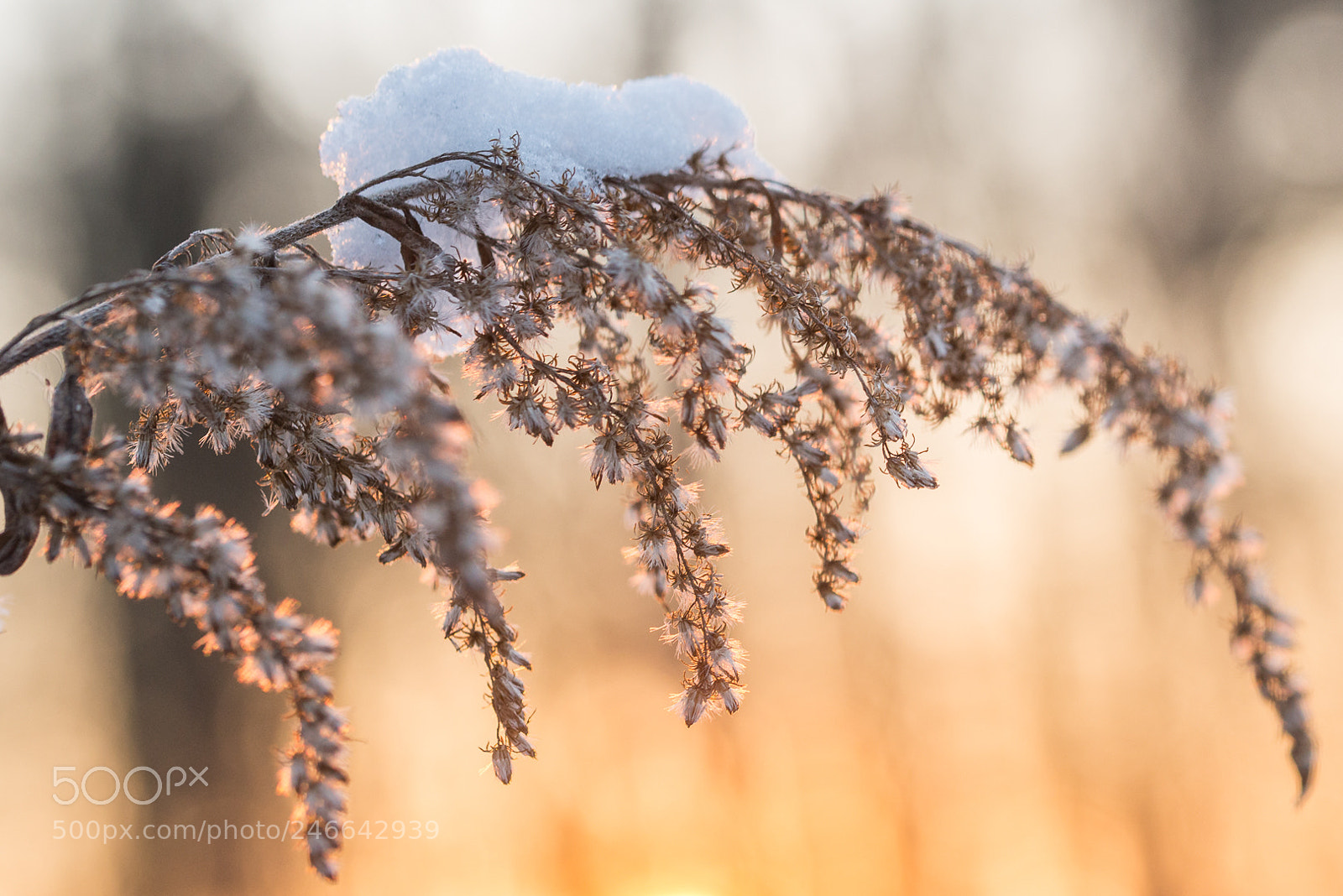 Nikon D610 sample photo. Sunset color photography