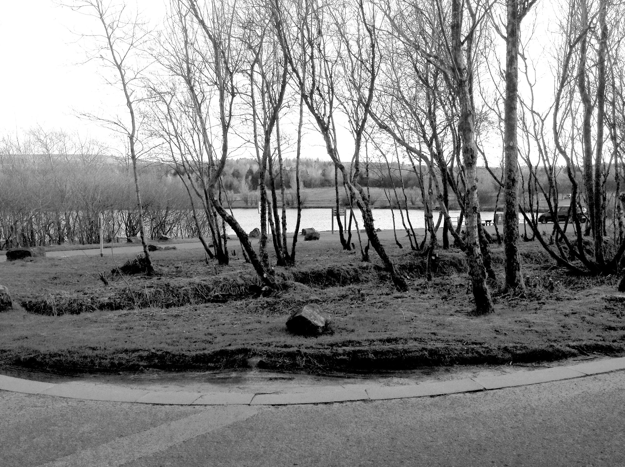 Apple iPad mini sample photo. Bryn bach park photography