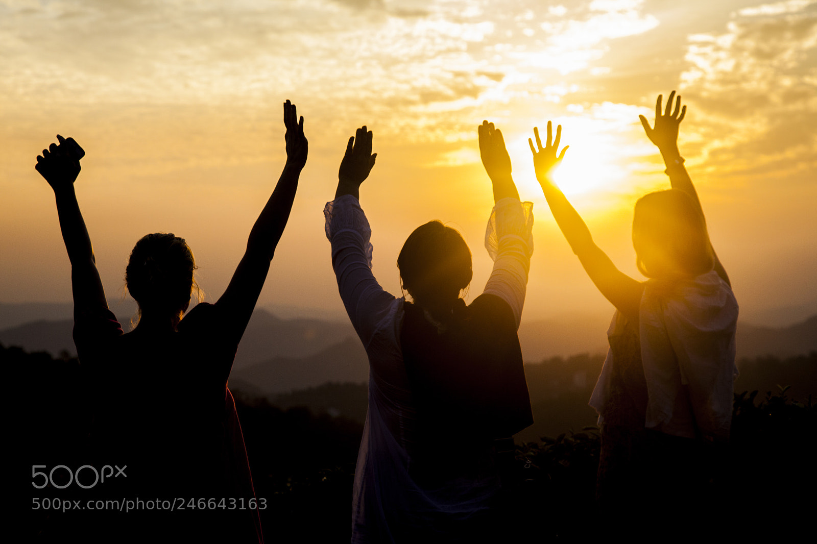 Canon EOS 5D Mark II sample photo. Munnar 4, kerala, india photography