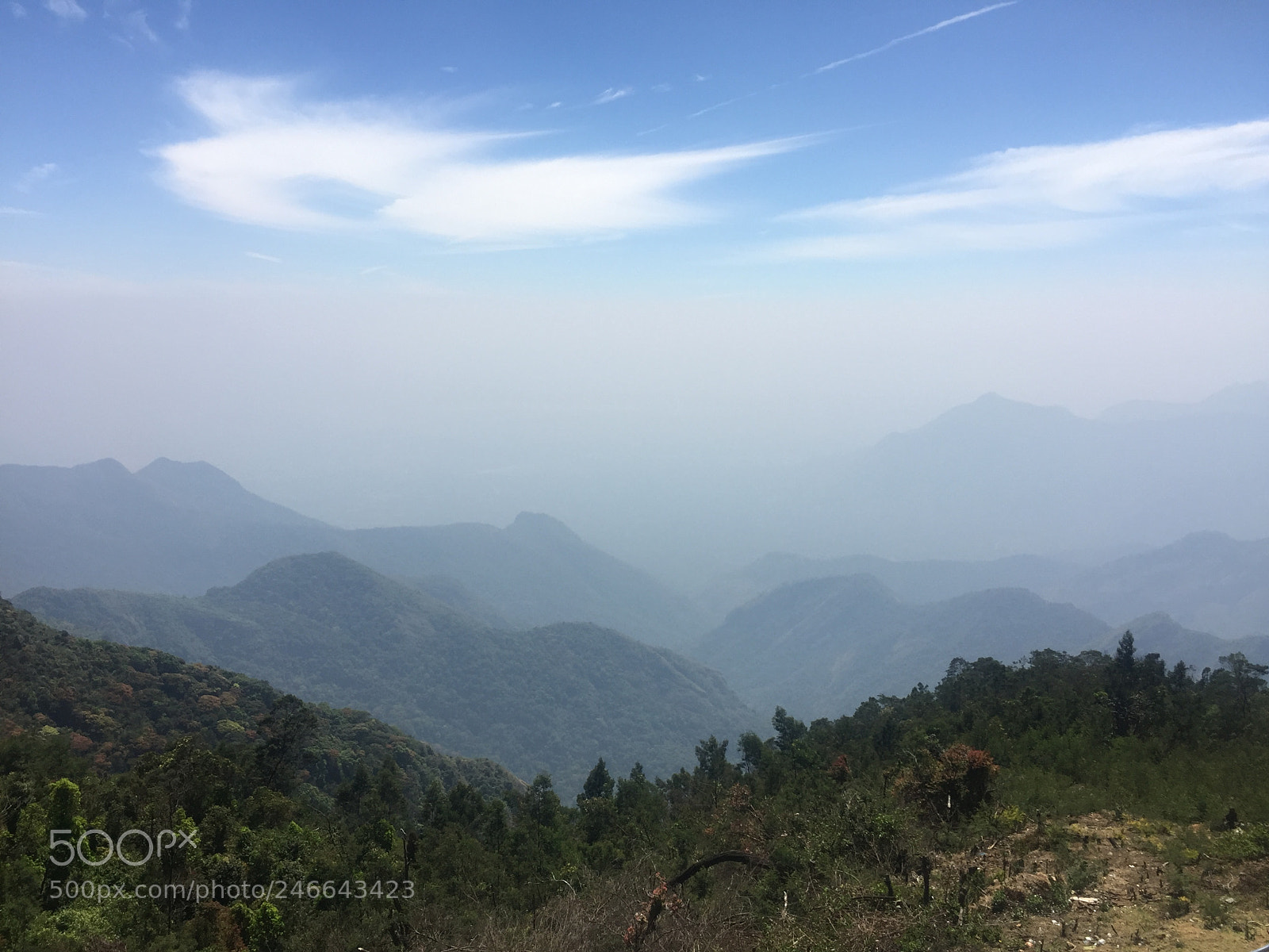 Apple iPhone 6 sample photo. Kodai photography