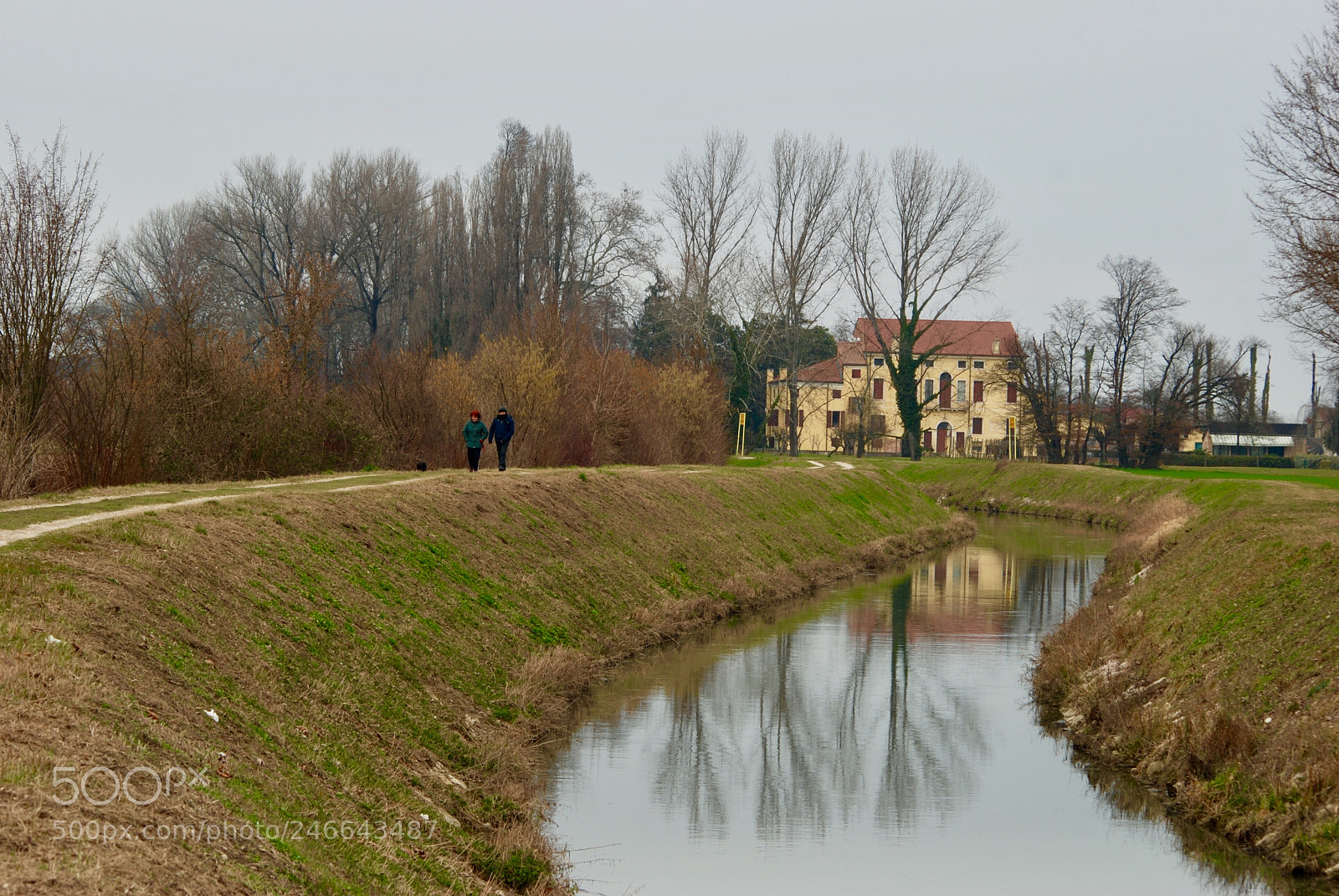 Nikon D80 sample photo. Winter’s reflections photography