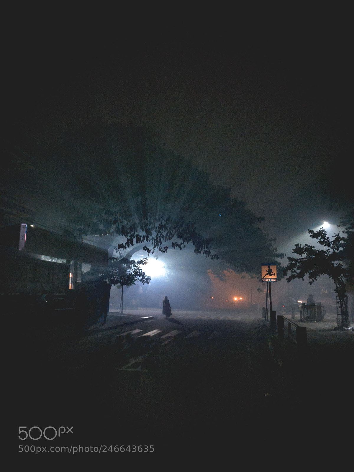OnePlus A3003 sample photo. Foggy evenings photography