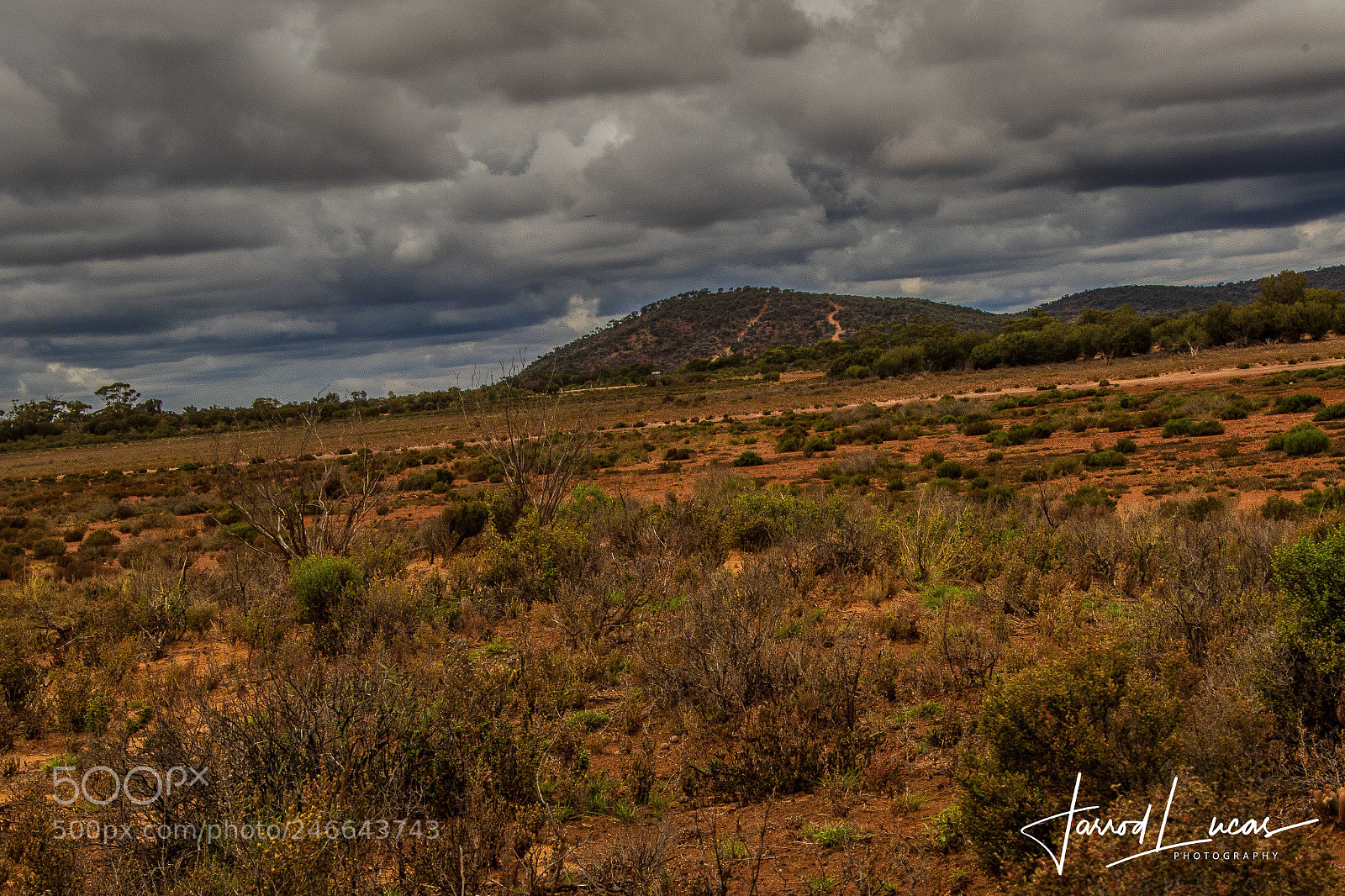 Canon EOS 7D Mark II sample photo. Bush expanses photography