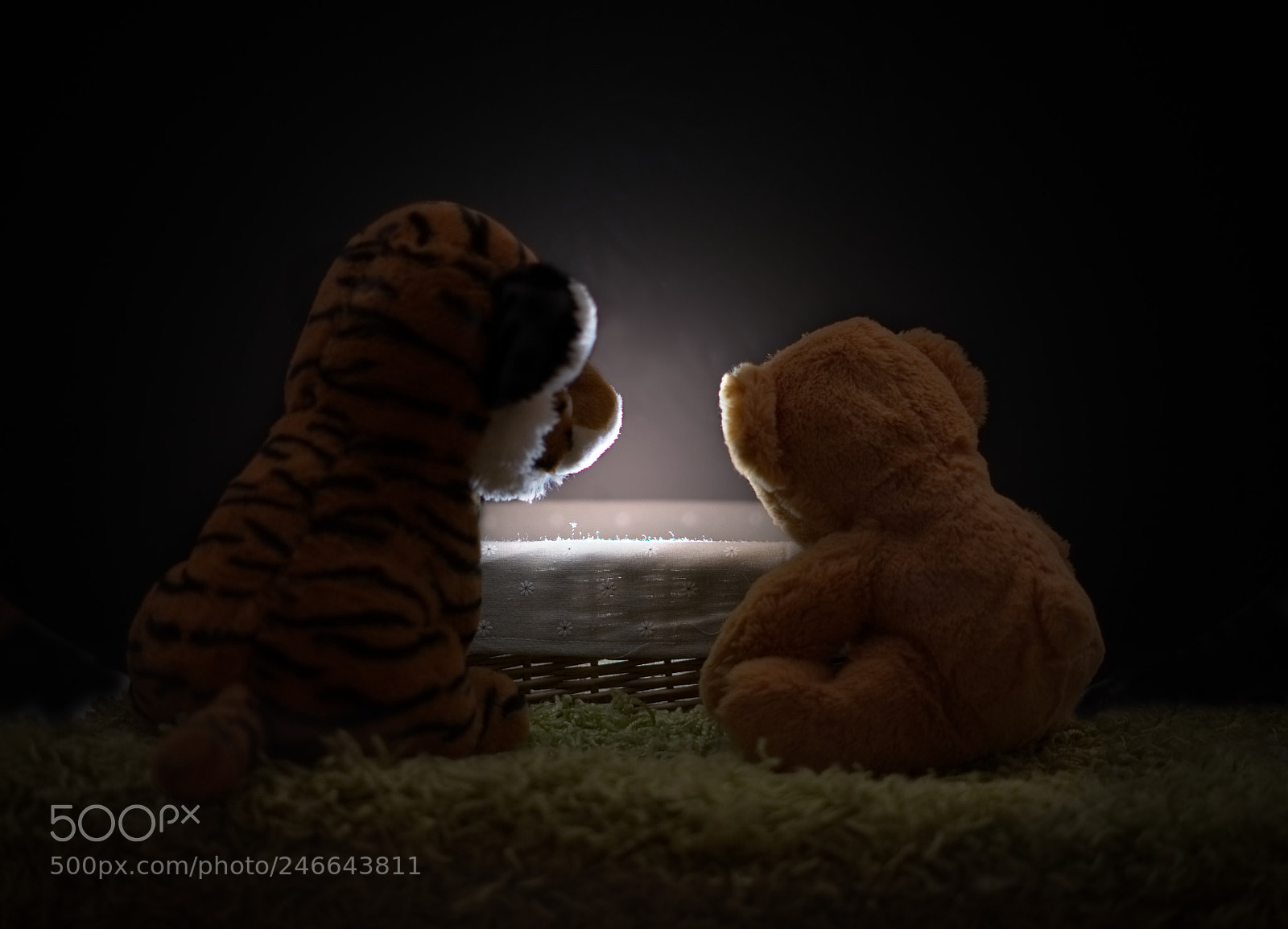Sony a7 II sample photo. Secret box photography