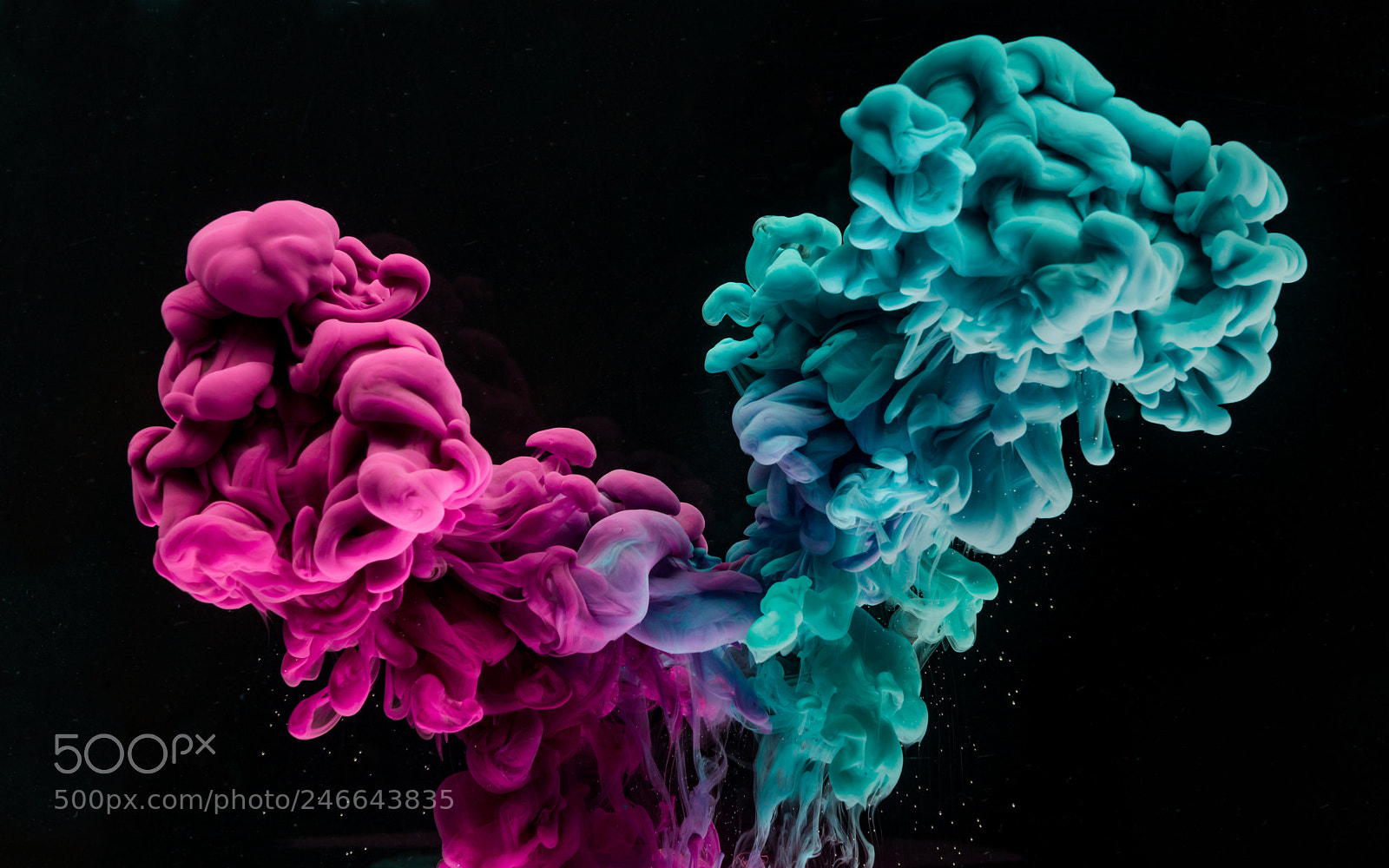 Sony a7R III sample photo. Colourful ink cloud photography