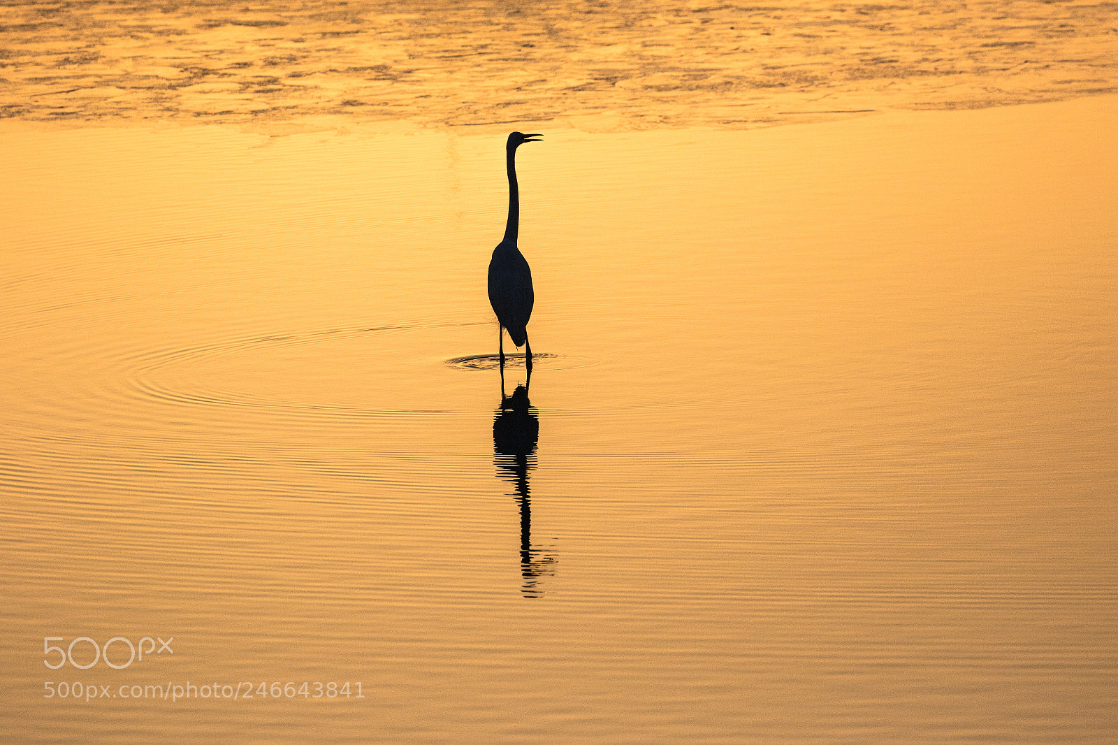 Canon EOS 7D Mark II sample photo. The sun rises photography