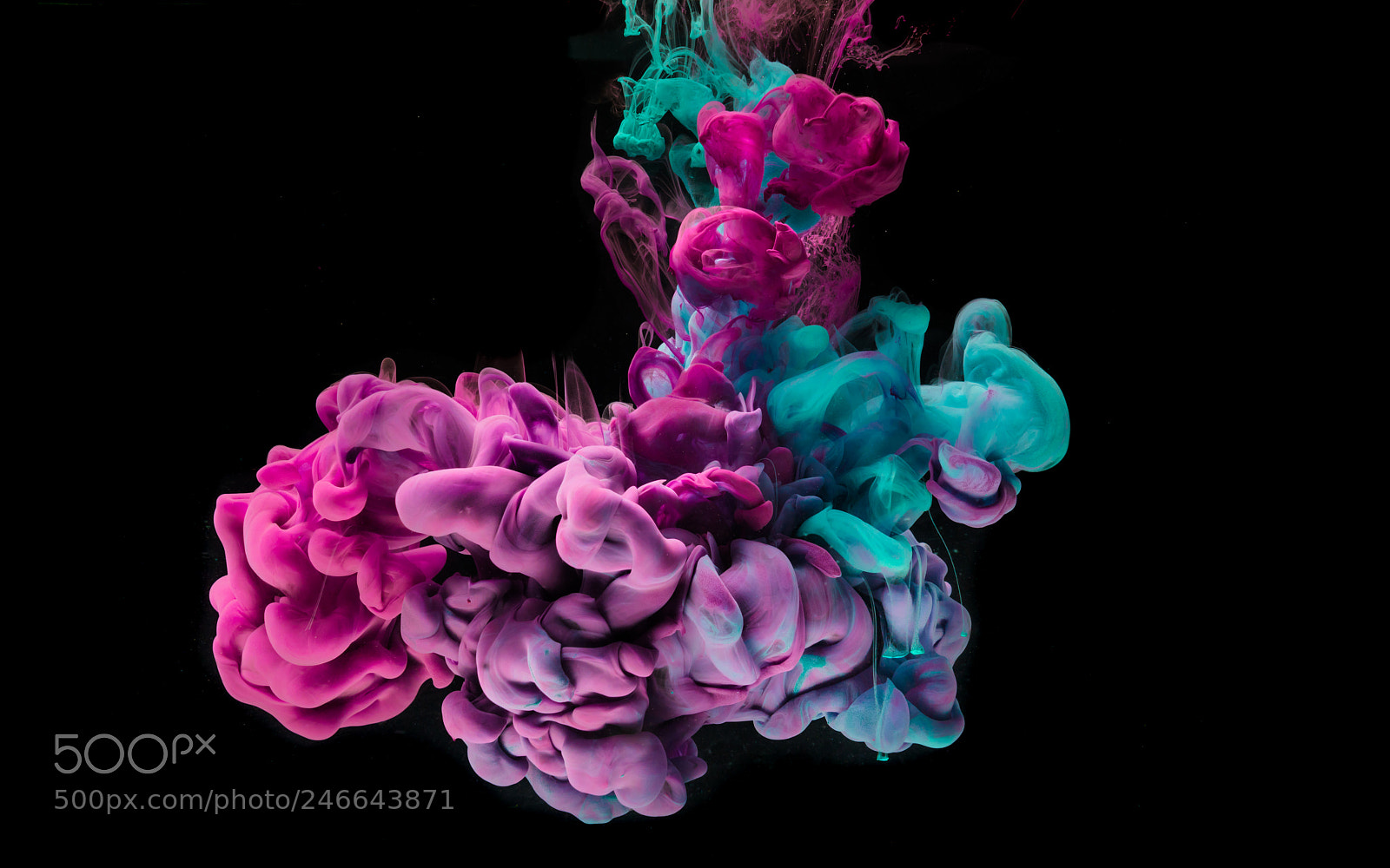Sony a7R III sample photo. Colourful ink cloud photography