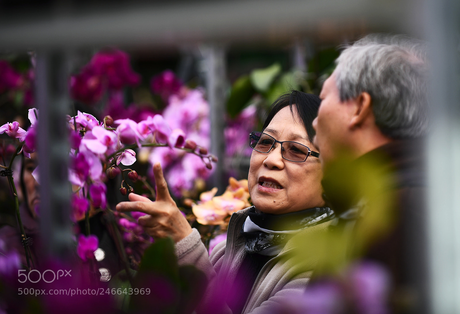 Nikon D5 sample photo. Chinese new year market_1 photography