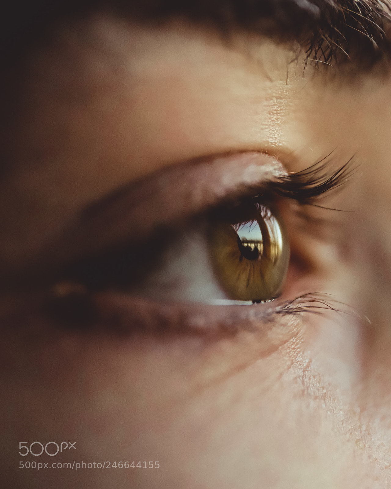 Canon EOS 6D Mark II sample photo. The eye shot... photography