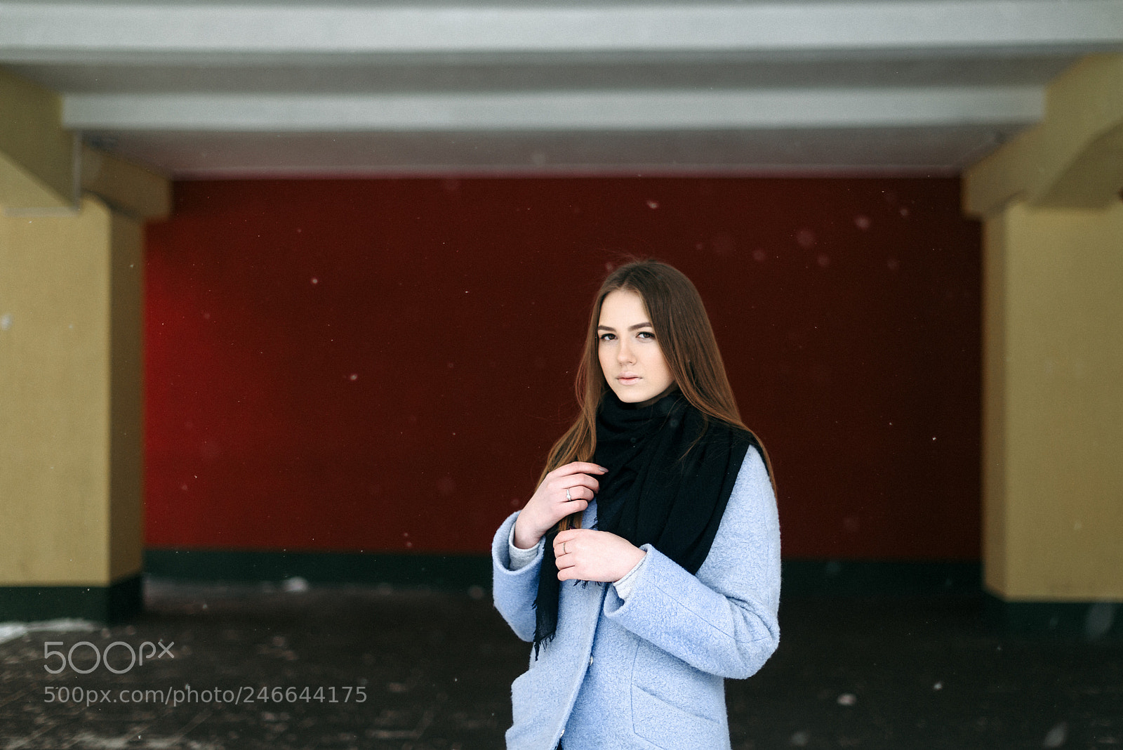 Nikon D800 sample photo. Lola photography