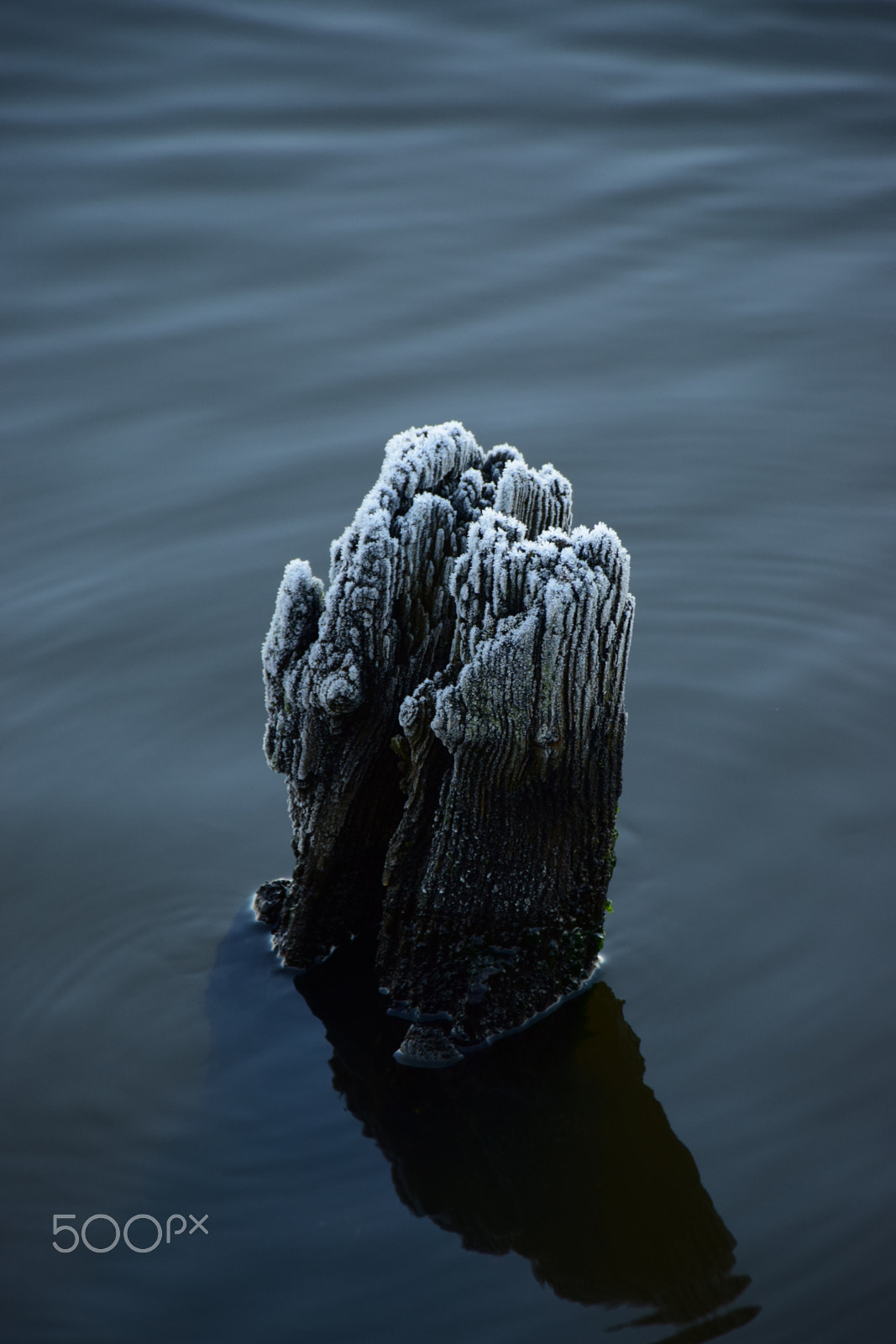 Sigma 18-250mm F3.5-6.3 DC Macro OS HSM sample photo. Winter photography