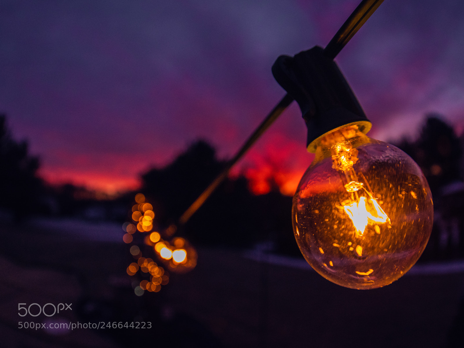 Nikon D810 sample photo. Bending the light photography
