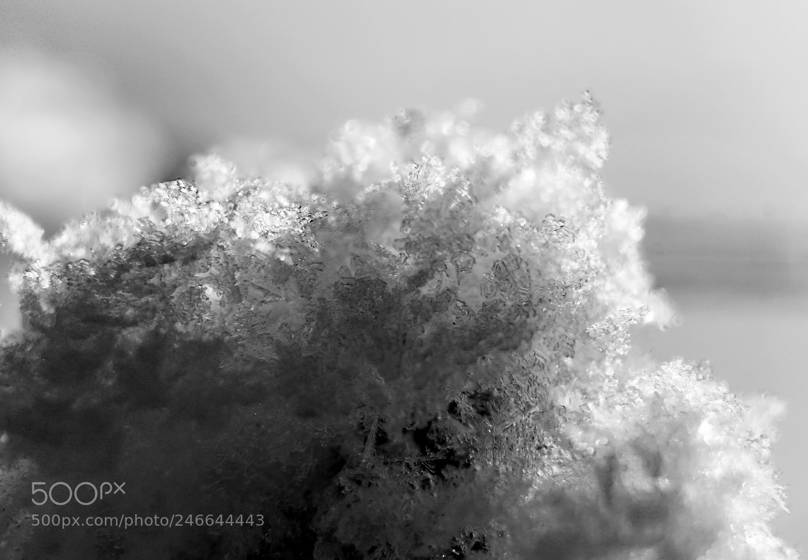 Canon EOS 600D (Rebel EOS T3i / EOS Kiss X5) sample photo. Ice cotton. photography