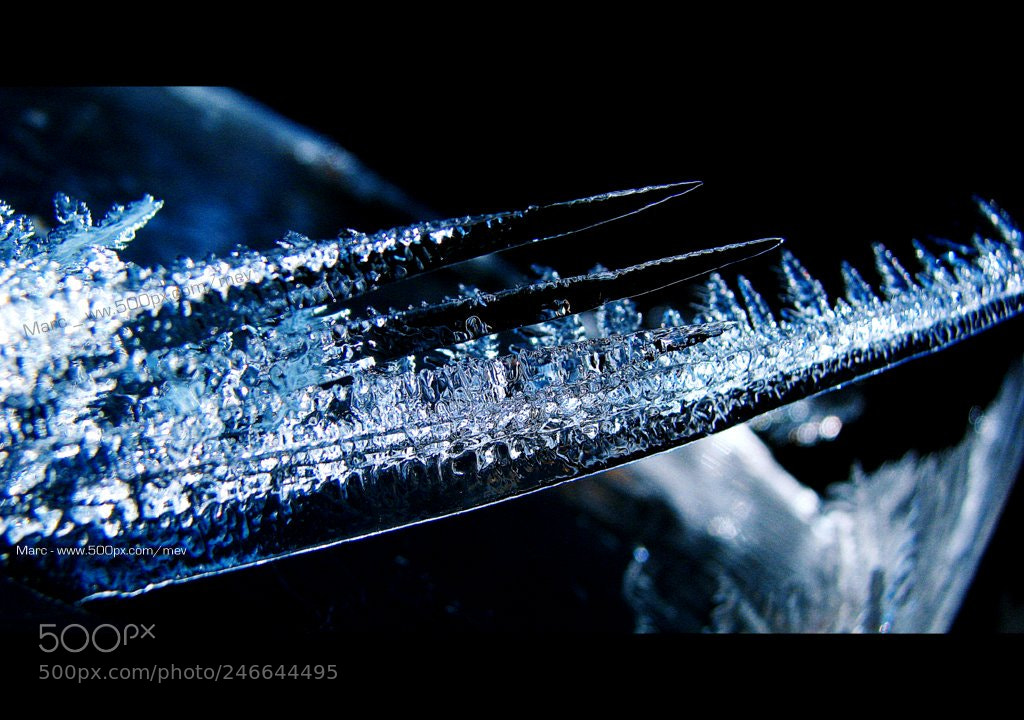 Canon POWERSHOT S5 IS sample photo. Natural ice art 2 photography