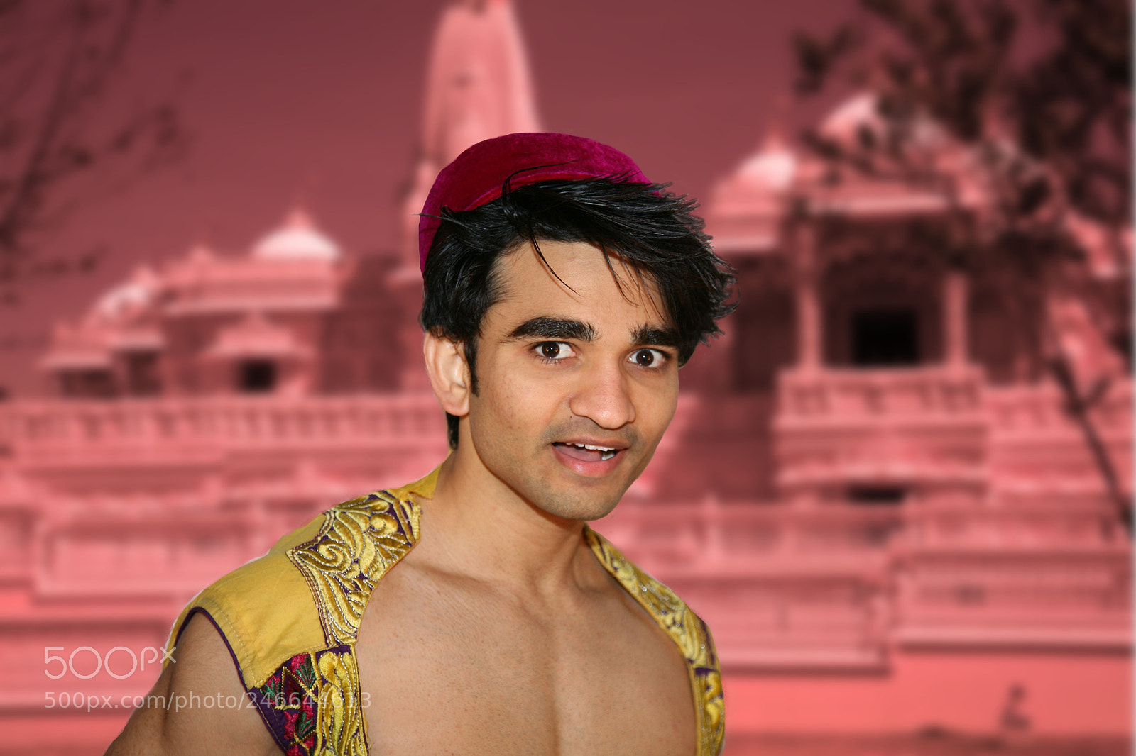 Canon EOS 5D sample photo. Aladdin photography