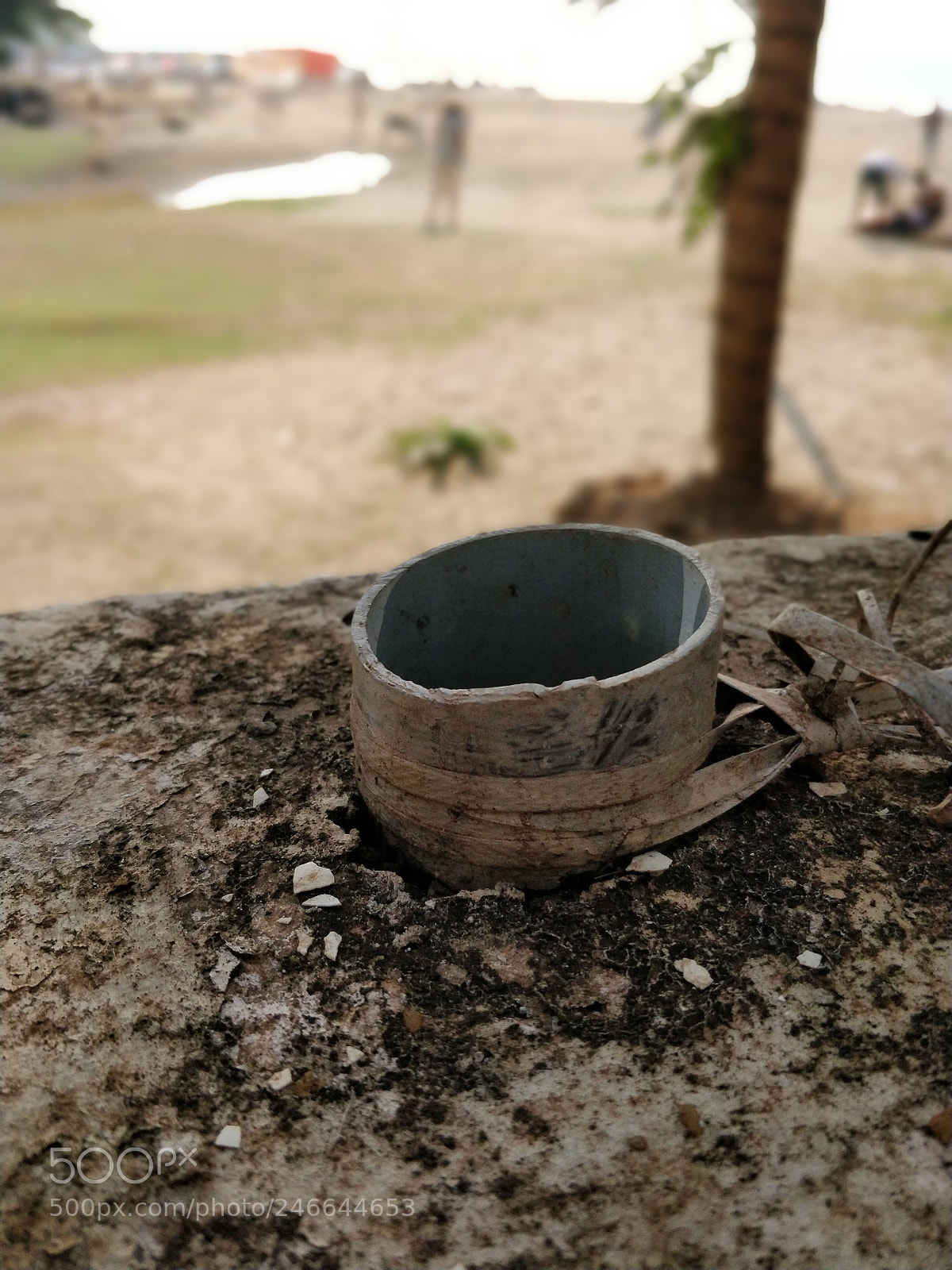 OnePlus 5T sample photo. Untitled photography
