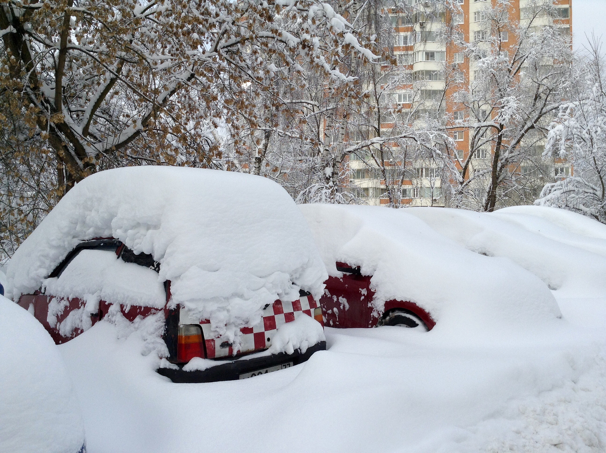 Apple iPad mini sample photo. Snowy photography