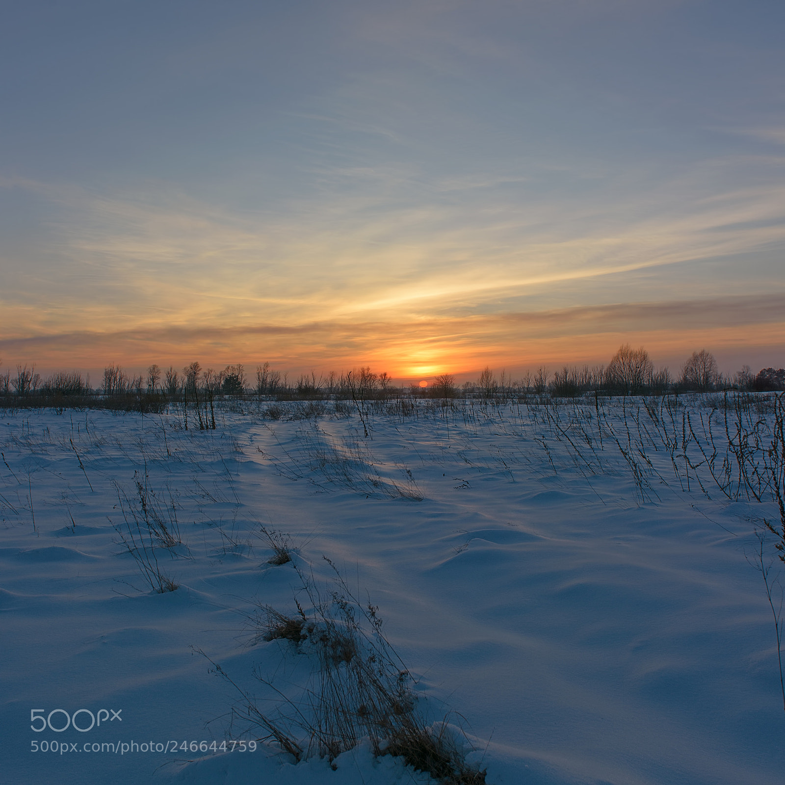 Nikon D7100 sample photo. Winter evening photography