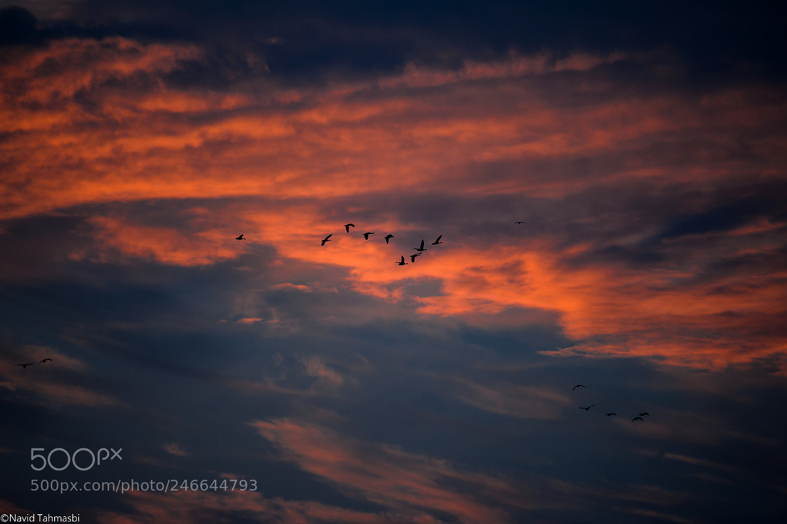 Canon EOS 700D (EOS Rebel T5i / EOS Kiss X7i) sample photo. Burning sky photography