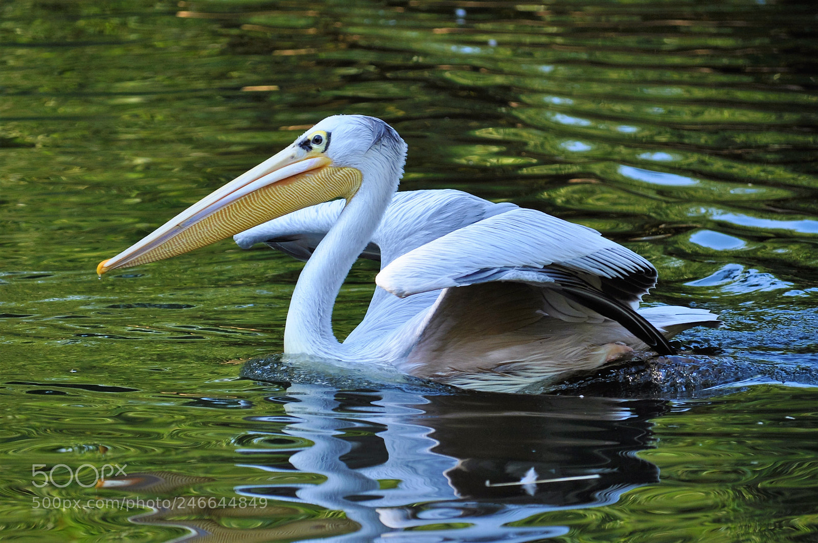 Nikon D5000 sample photo. Endlich ruhe-finally peace photography